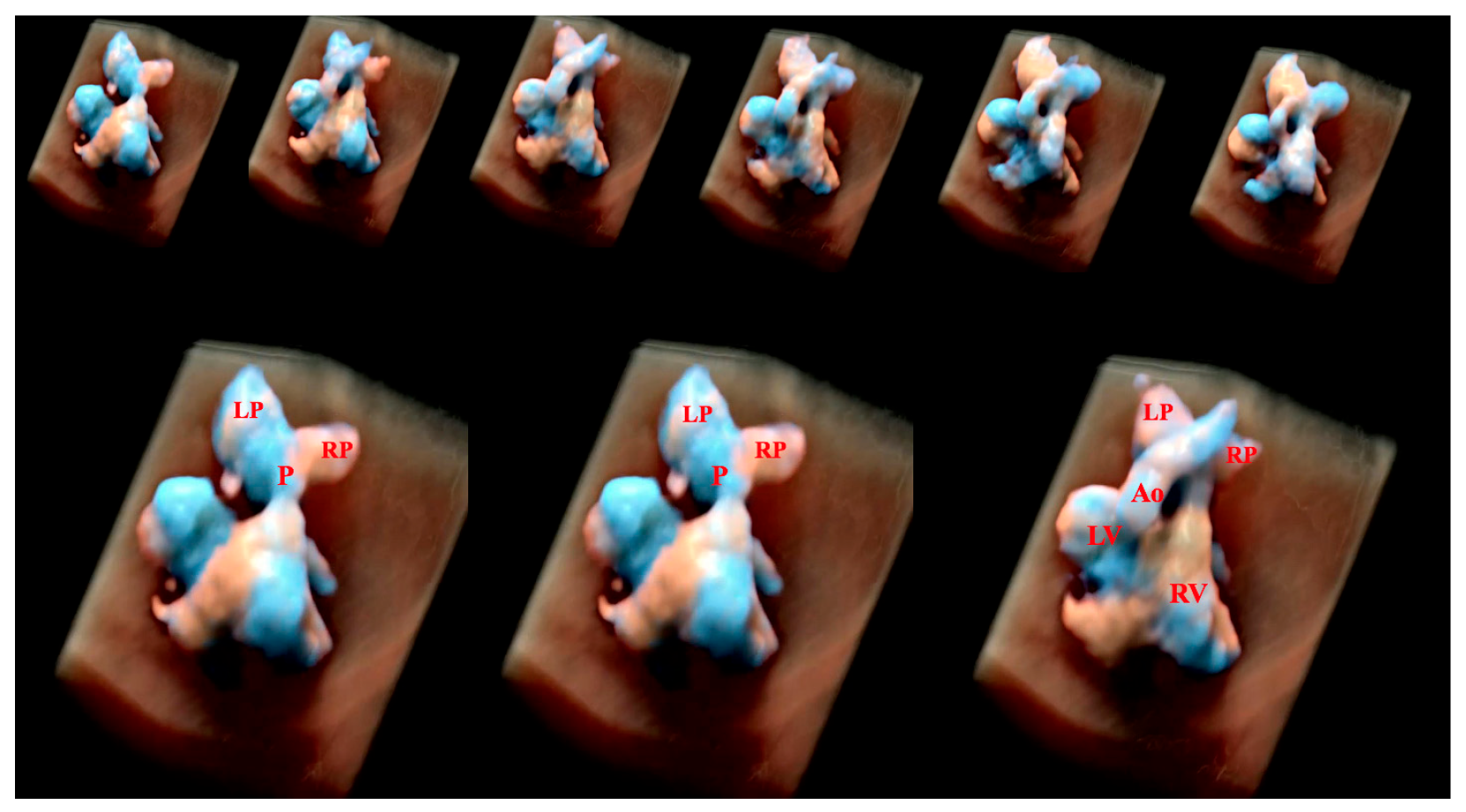 Diagnostics 13 03509 g020