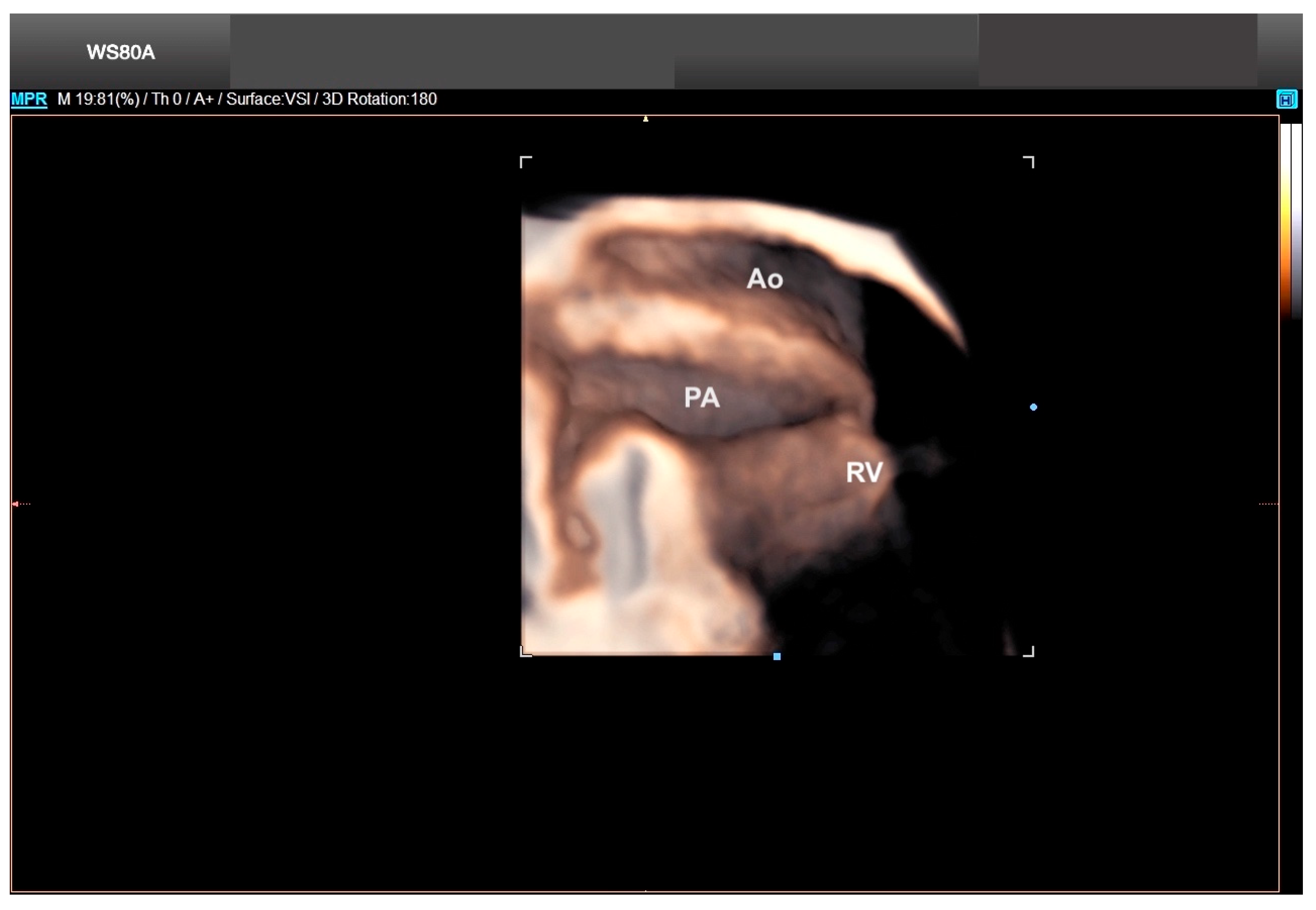 Diagnostics 13 03509 g024