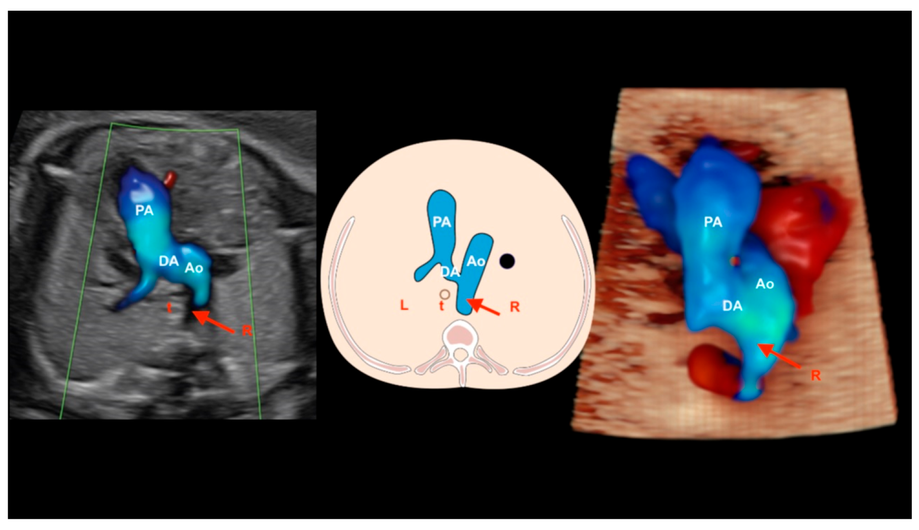 Diagnostics 13 03509 g026