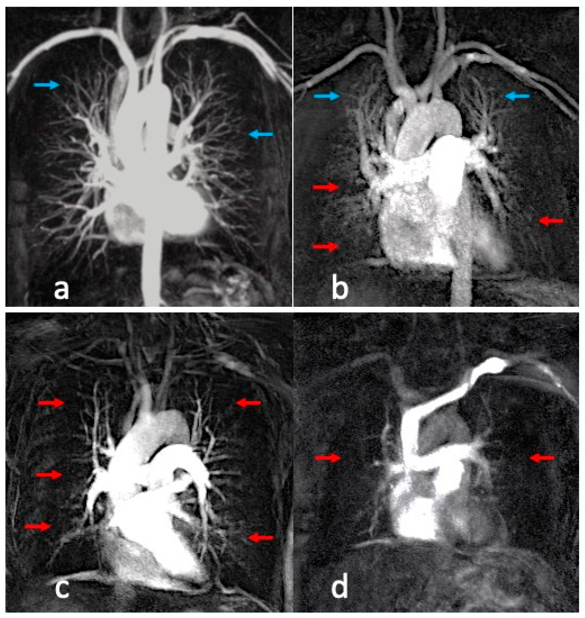 Diagnostics 13 03511 g003