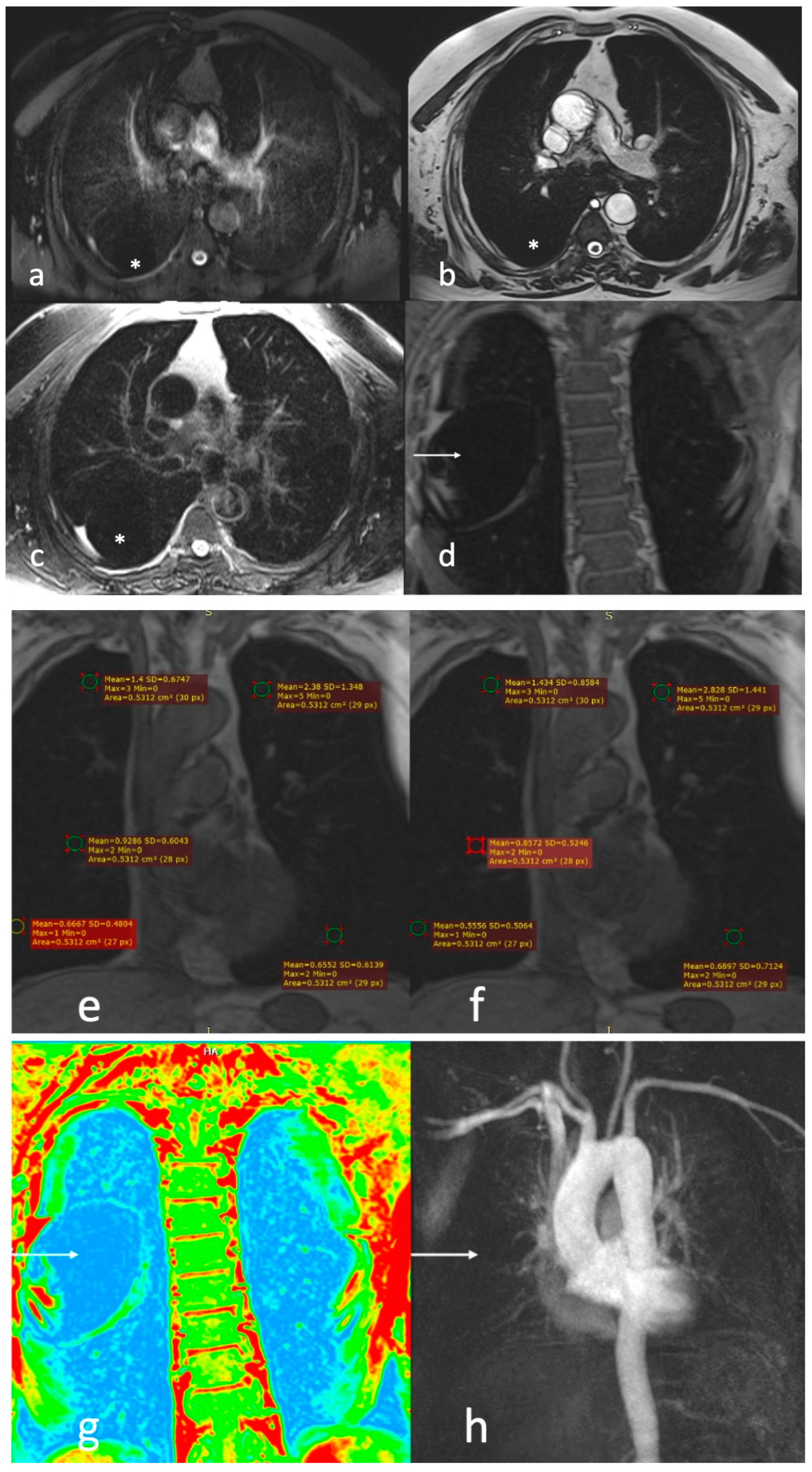 Diagnostics 13 03511 g005