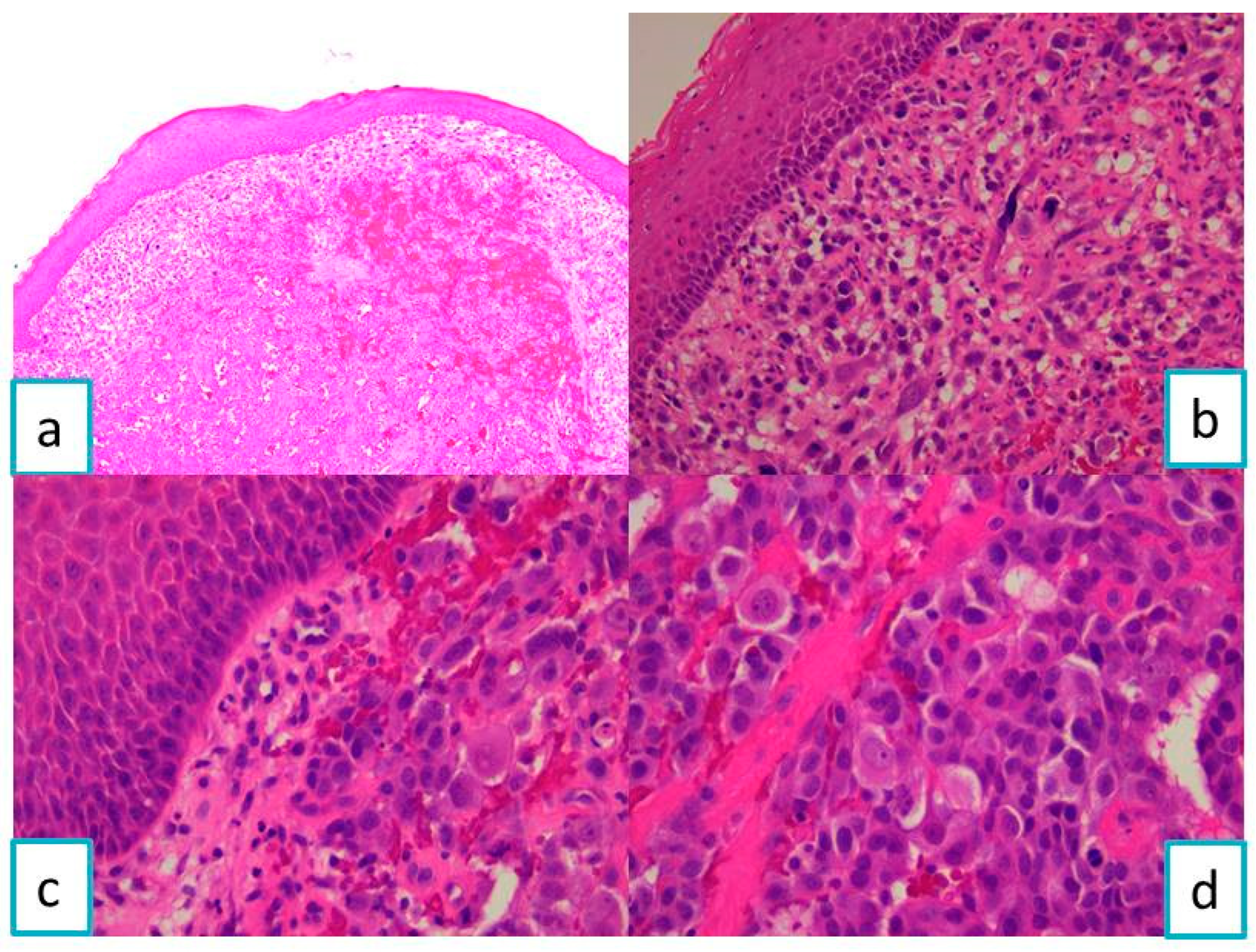 Diagnostics 13 03513 g001 Diagnostics 13 03513 g001