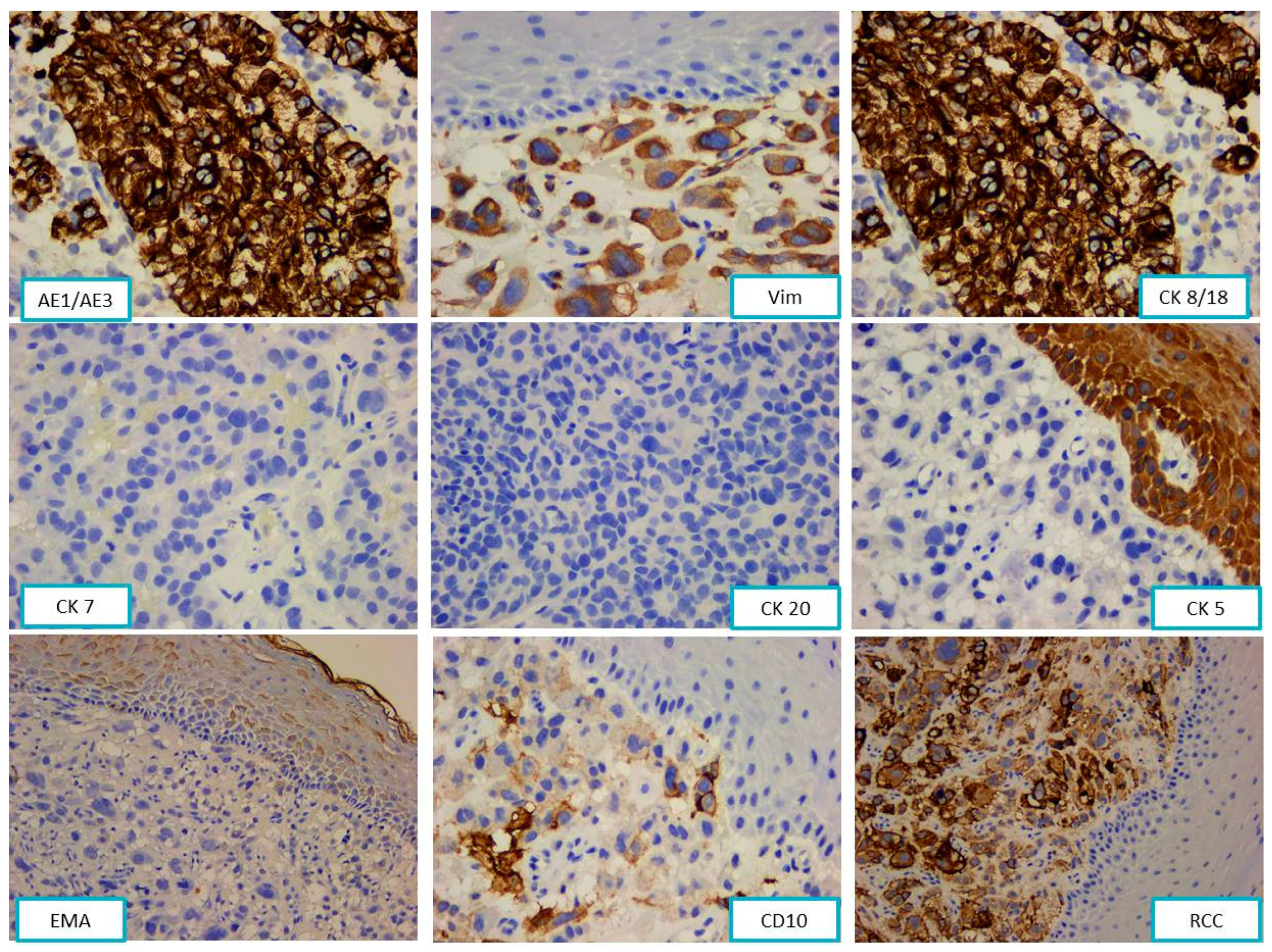 Diagnostics 13 03513 g002 Diagnostics 13 03513 g002