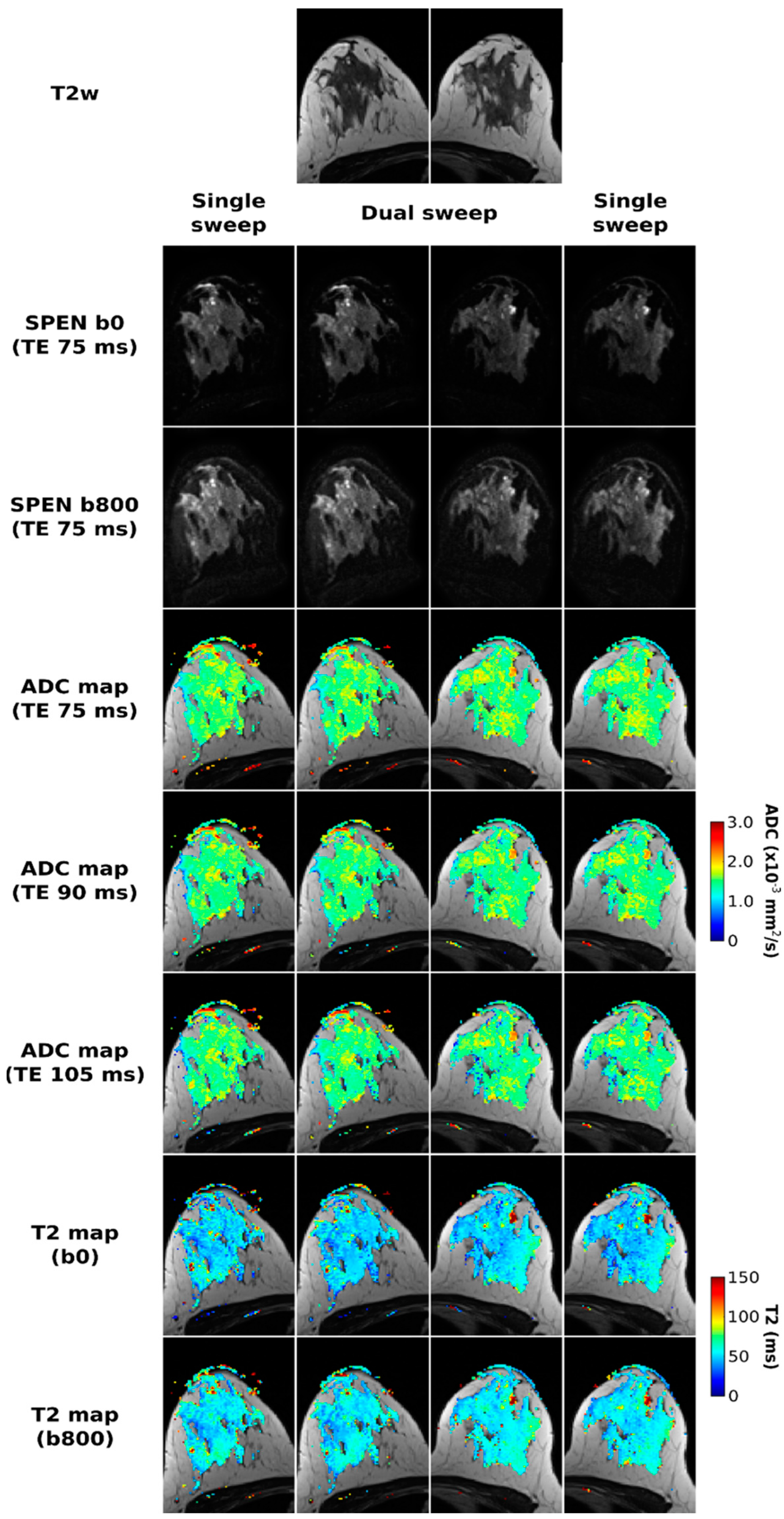 Diagnostics 13 03516 g002 Diagnostics 13 03516 g002