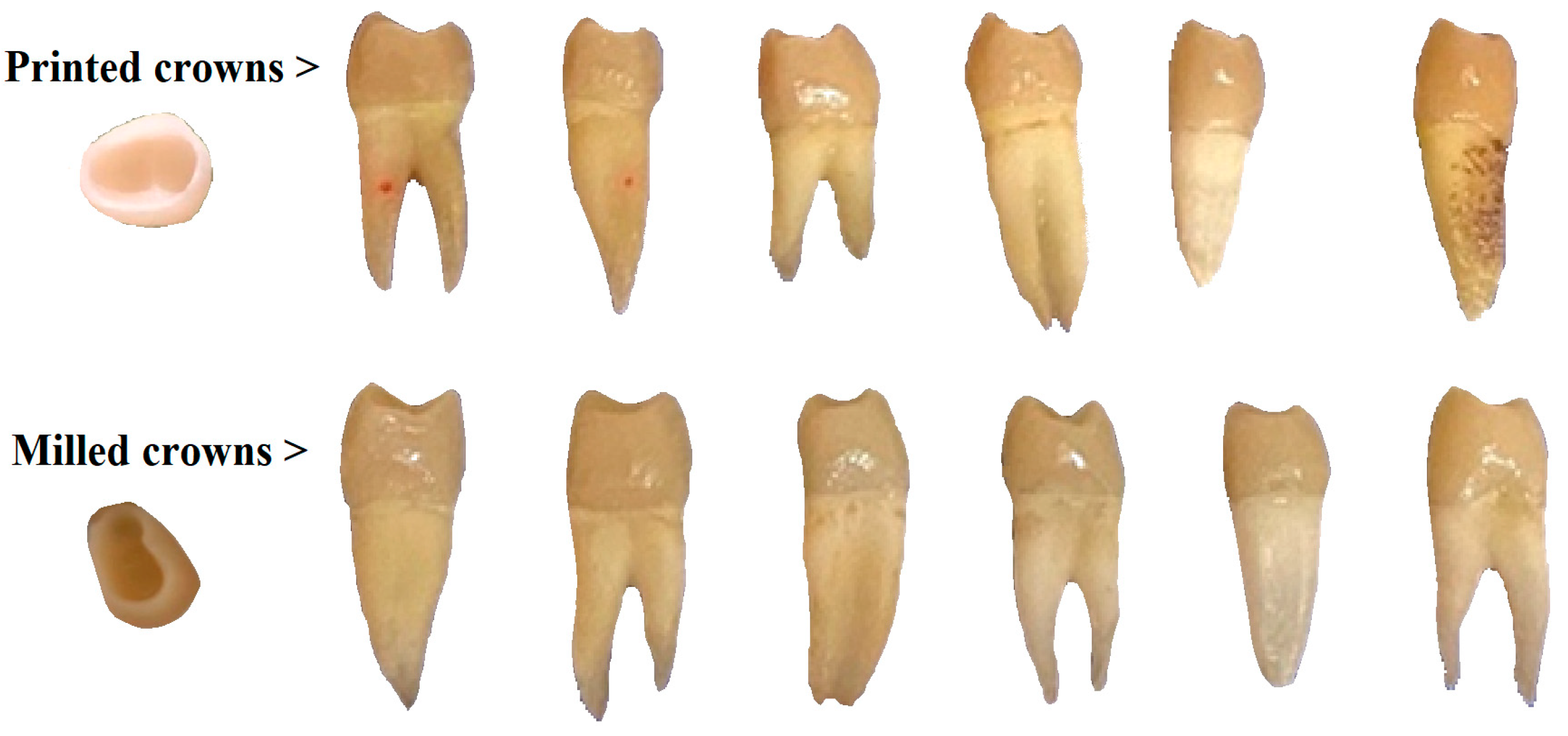 Diagnostics 13 03518 g001