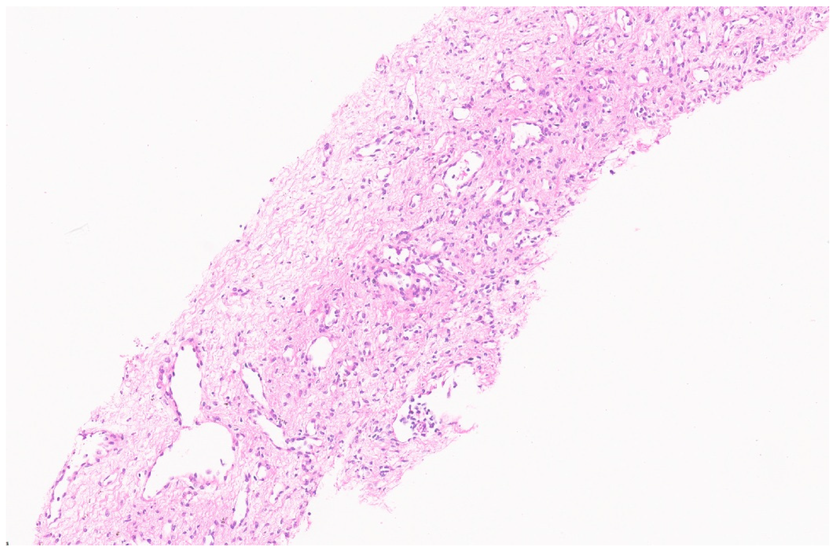 Diagnostics 13 03524 g002