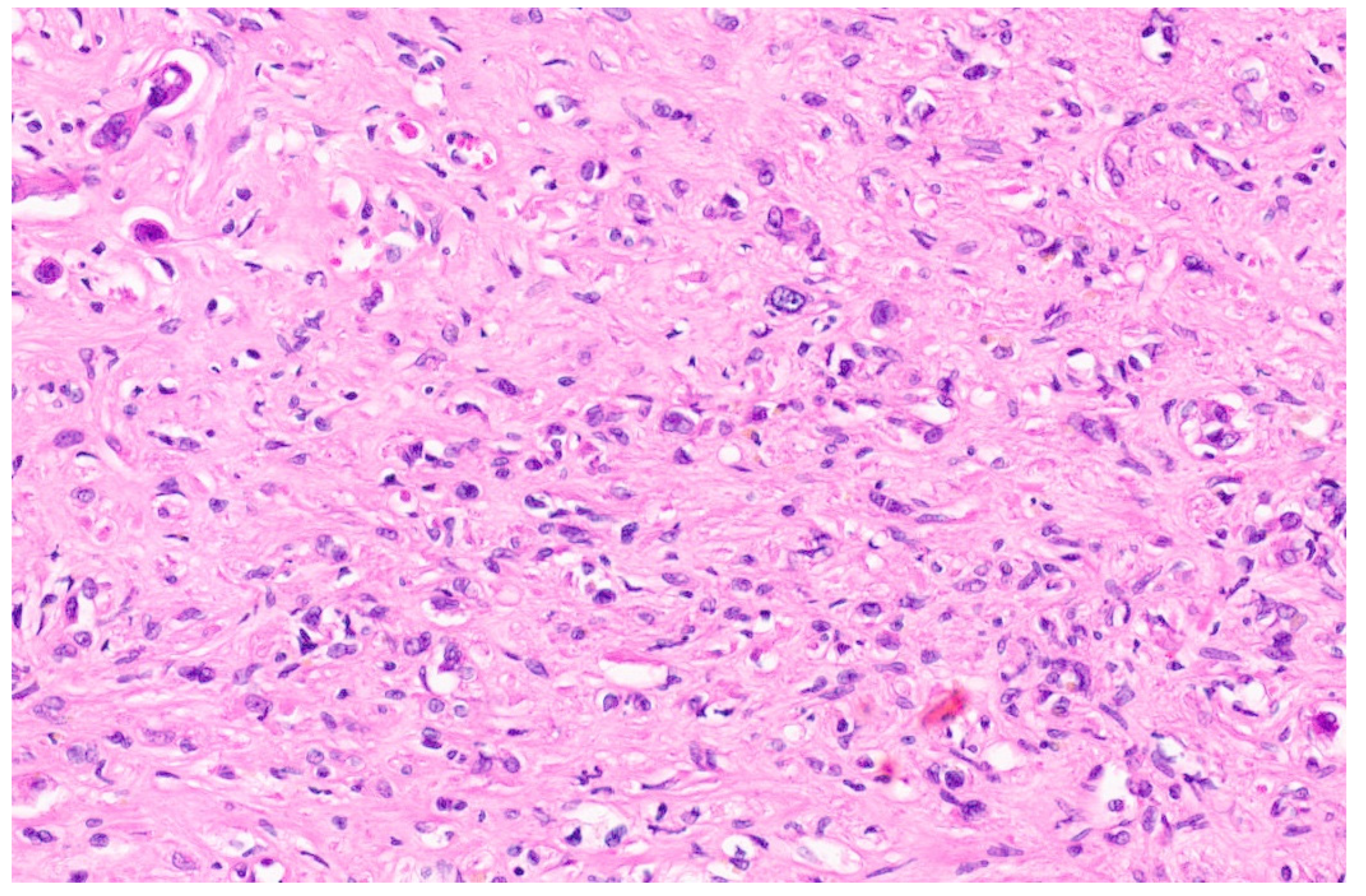 Diagnostics 13 03524 g005