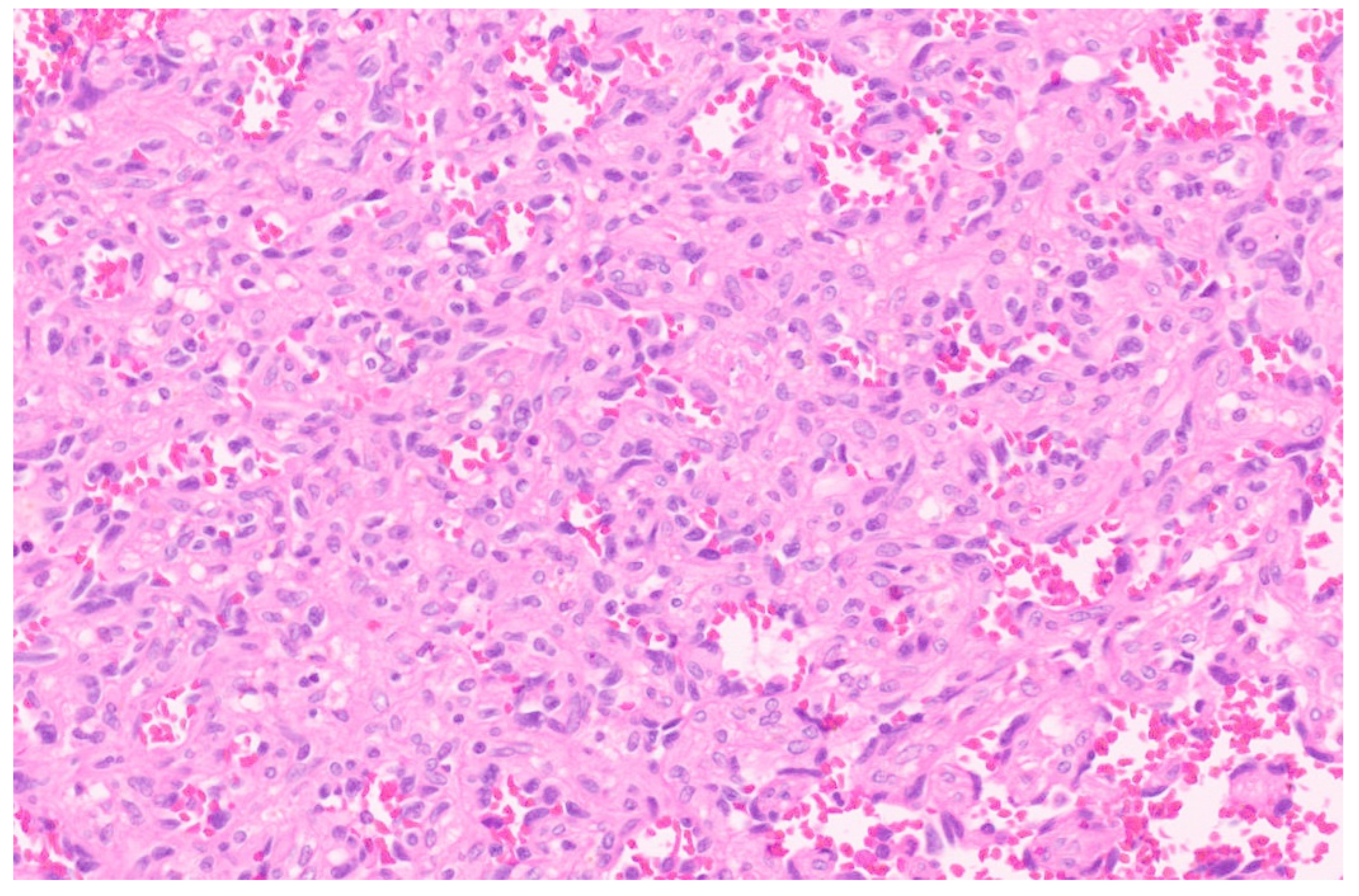 Diagnostics 13 03524 g006