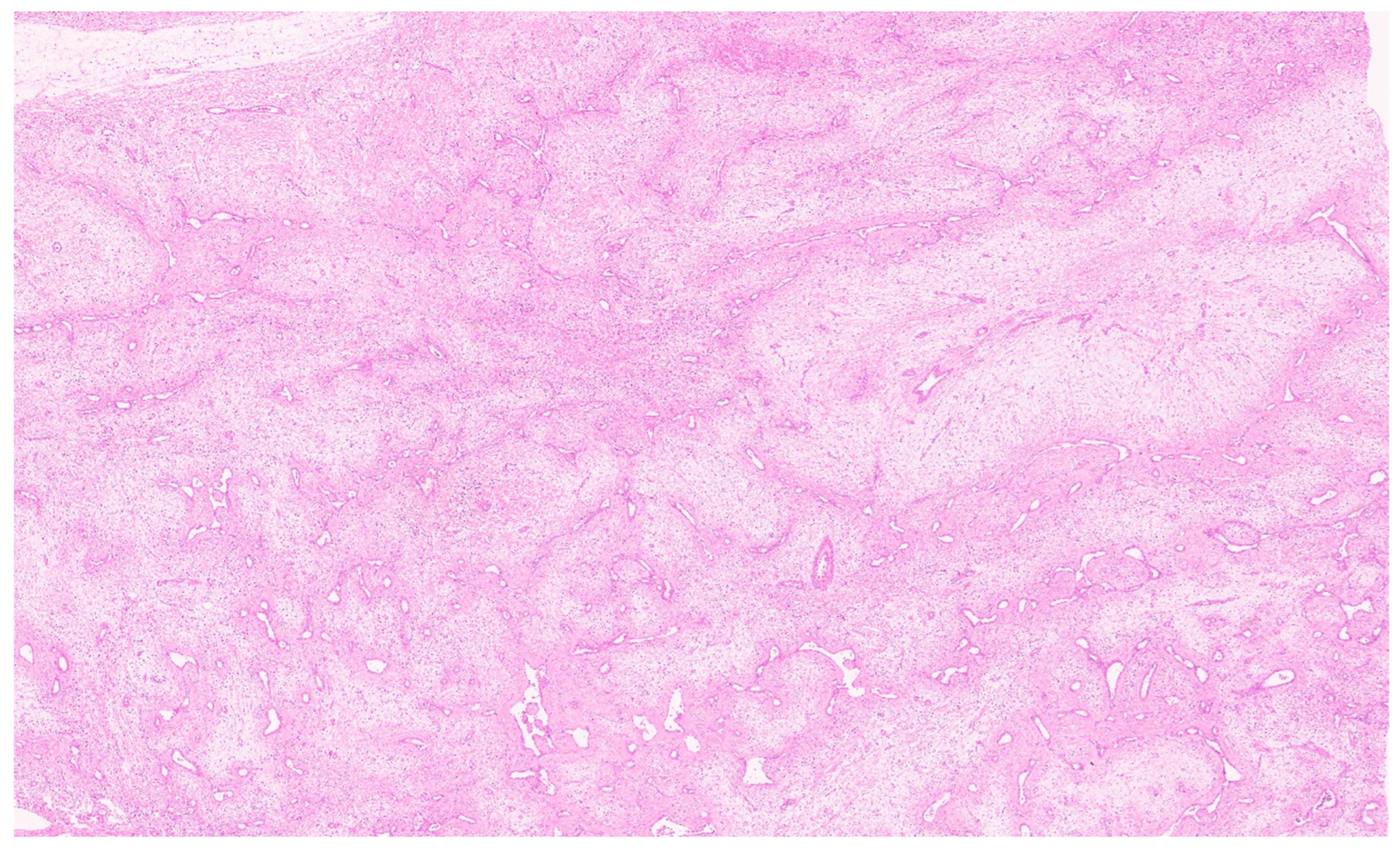 Diagnostics 13 03524 g008