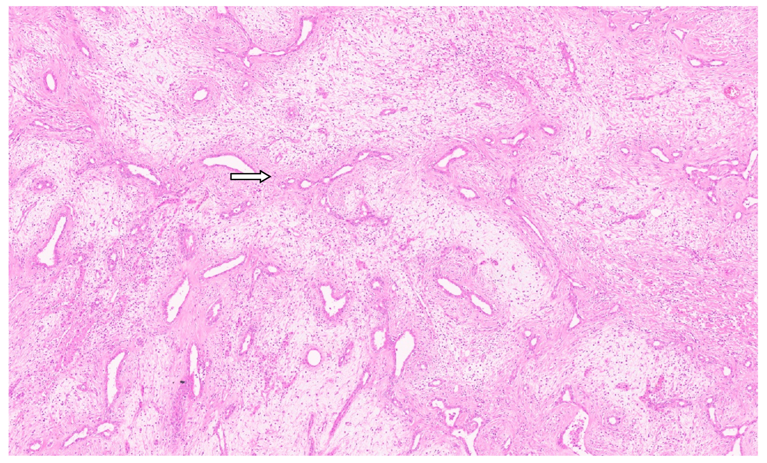 Diagnostics 13 03524 g009