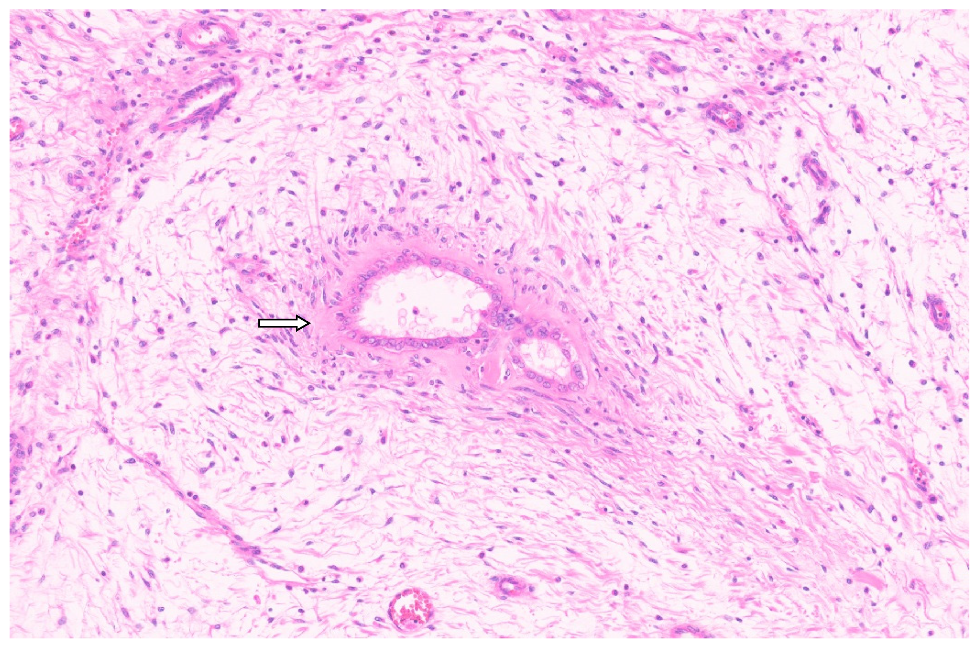 Diagnostics 13 03524 g010