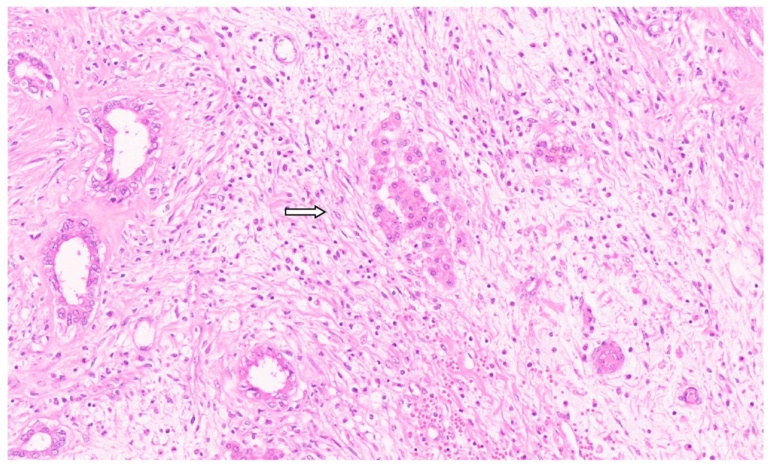 Diagnostics 13 03524 g011