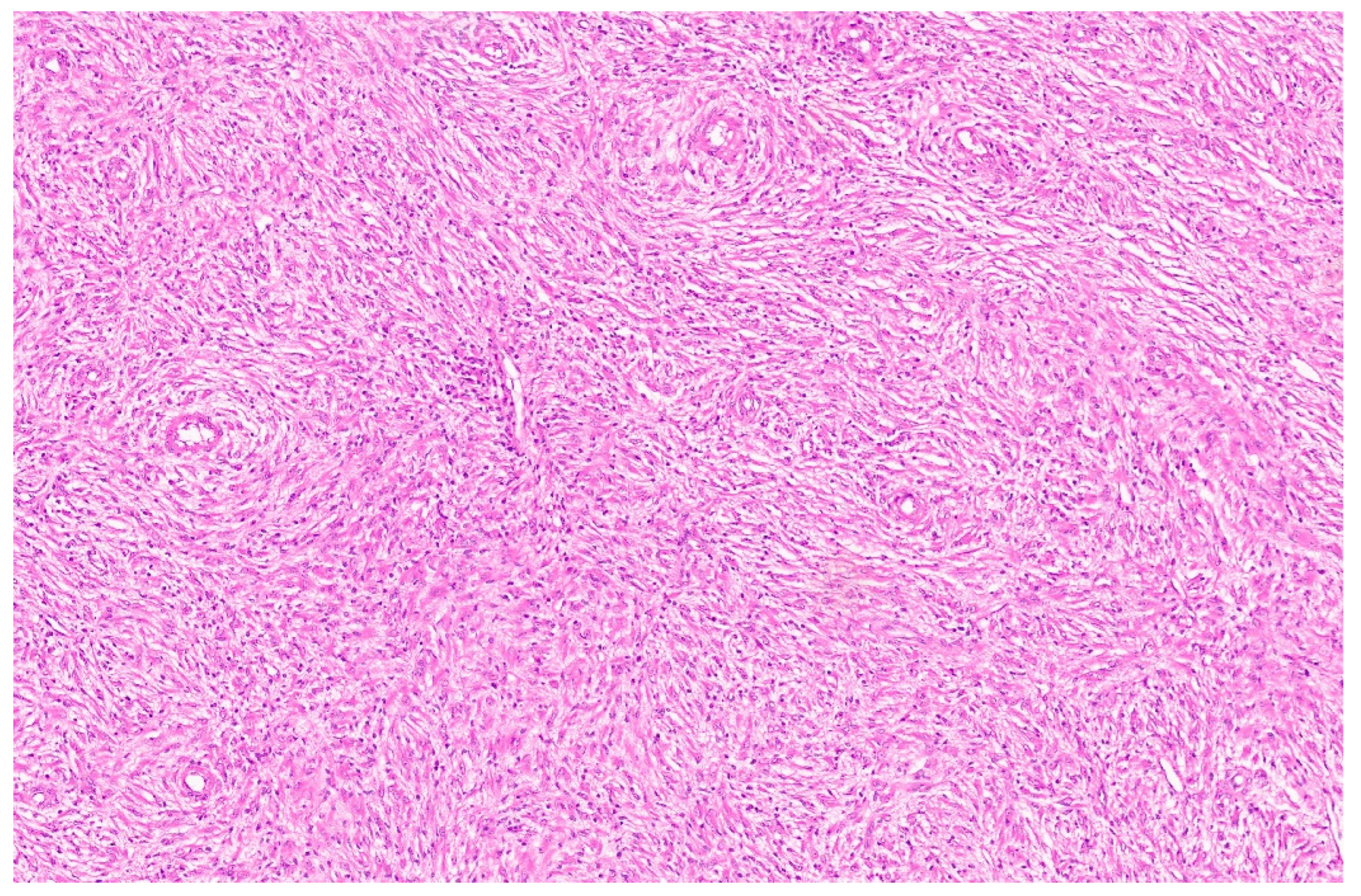 Diagnostics 13 03524 g012