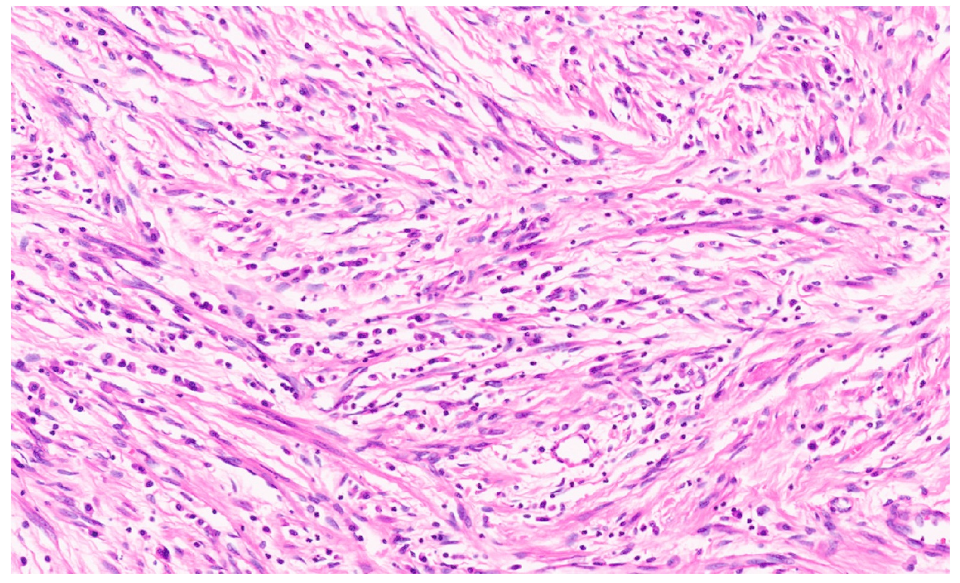 Diagnostics 13 03524 g013