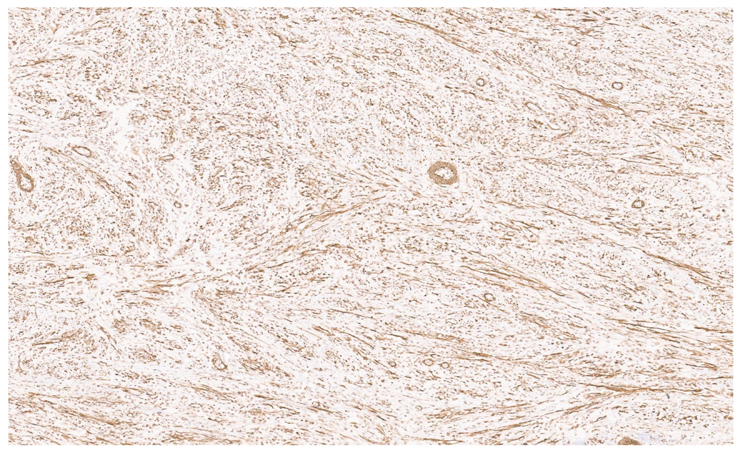 Diagnostics 13 03524 g014