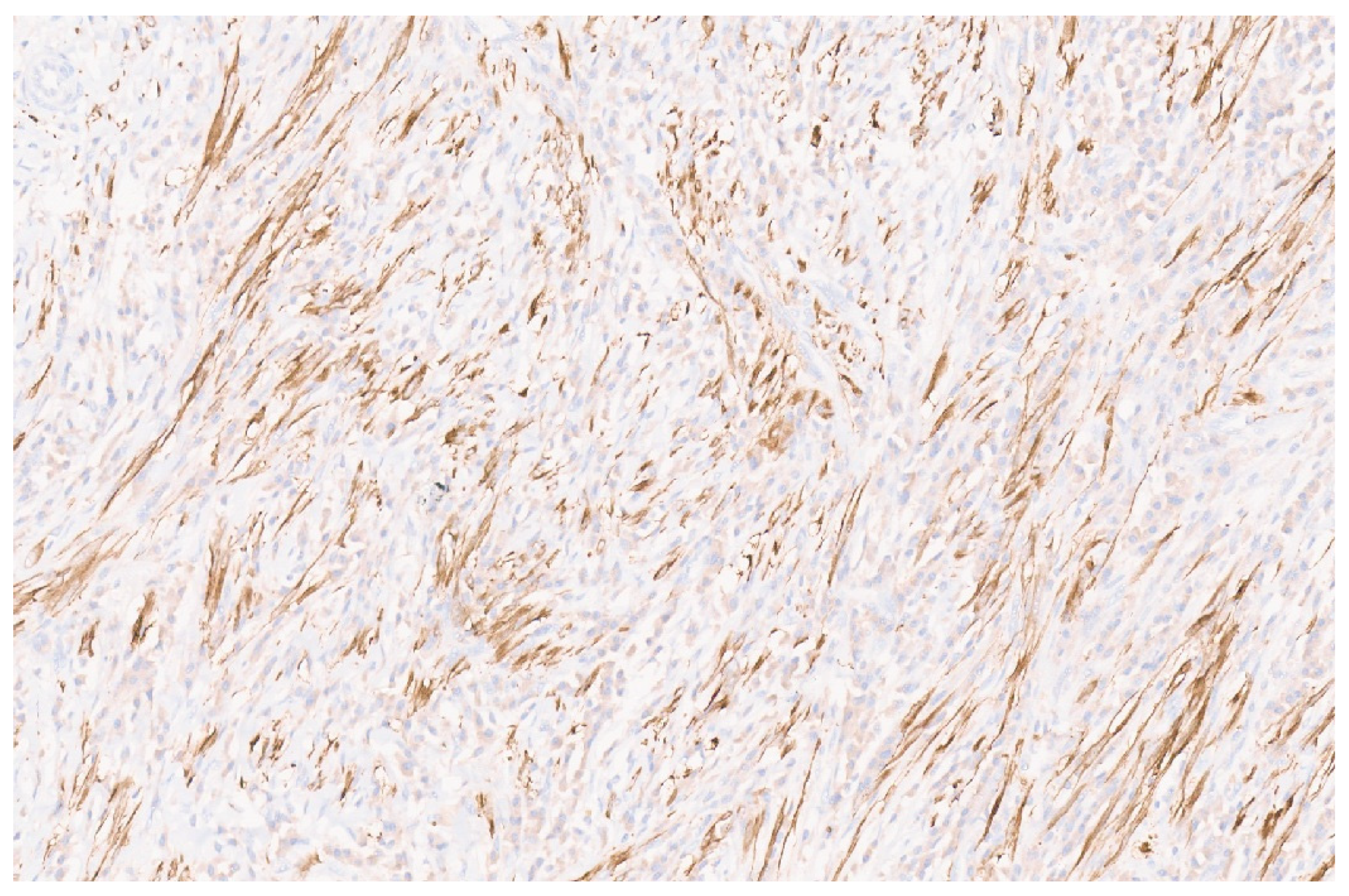 Diagnostics 13 03524 g015