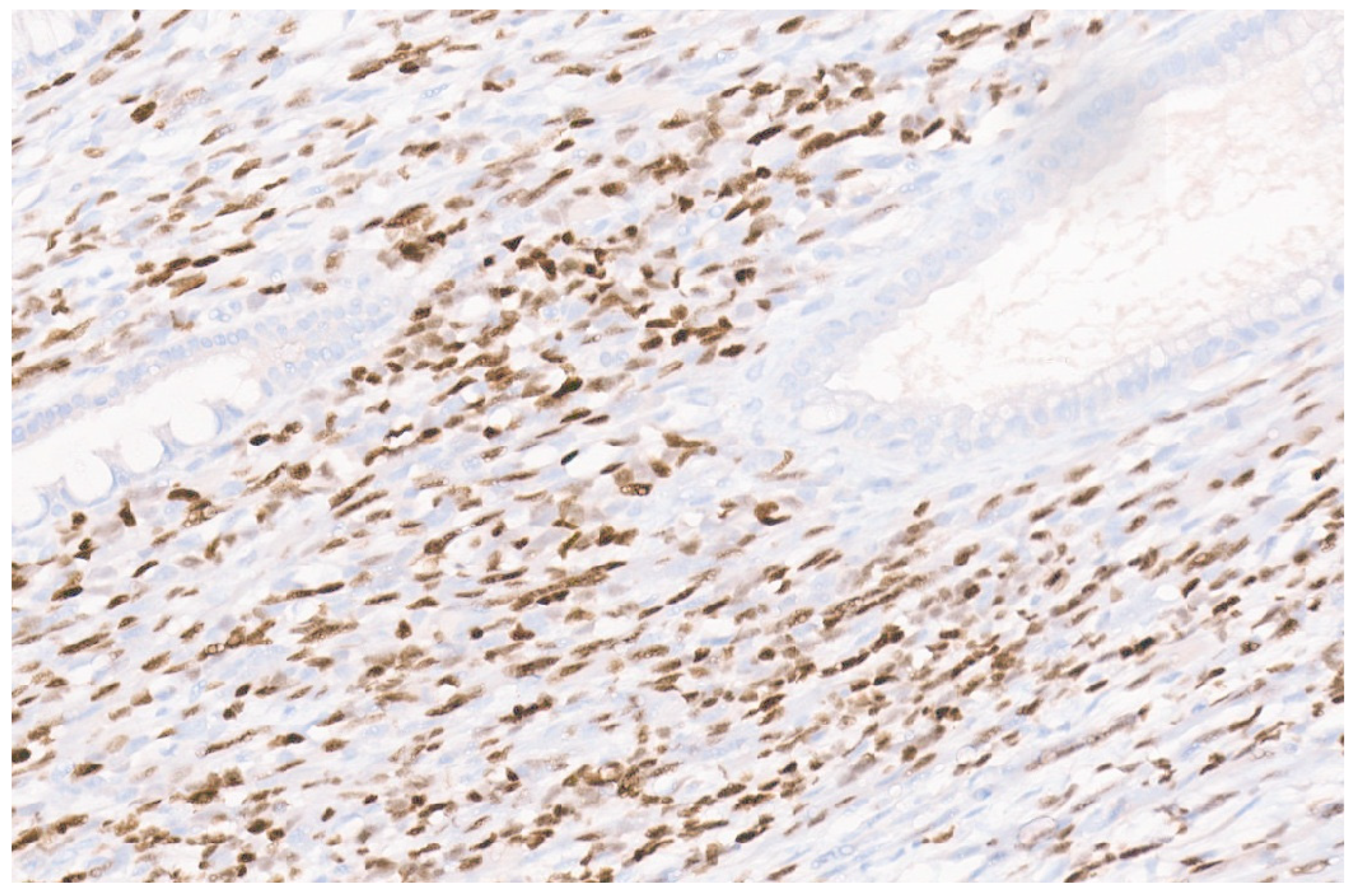 Diagnostics 13 03524 g018