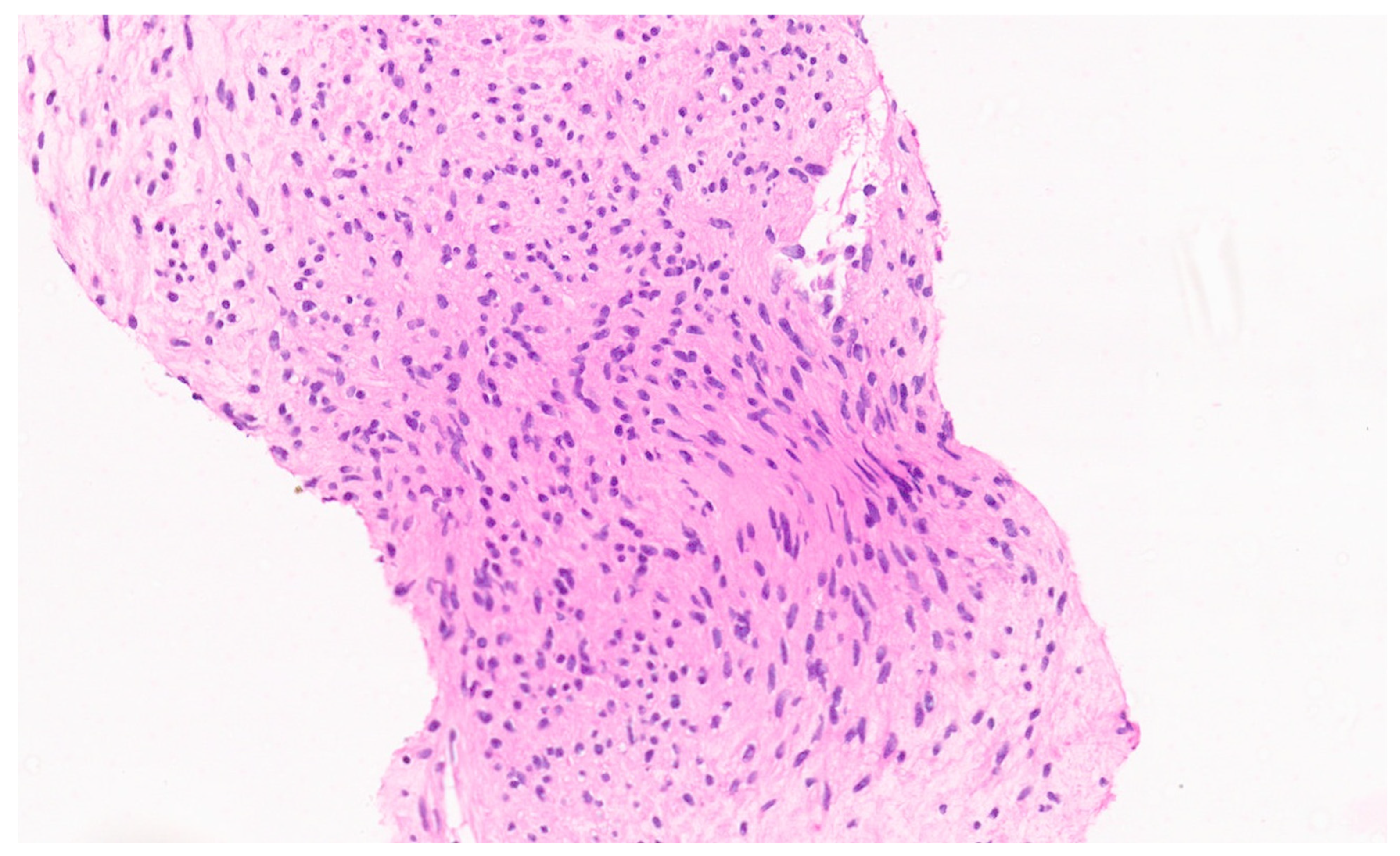 Diagnostics 13 03524 g019