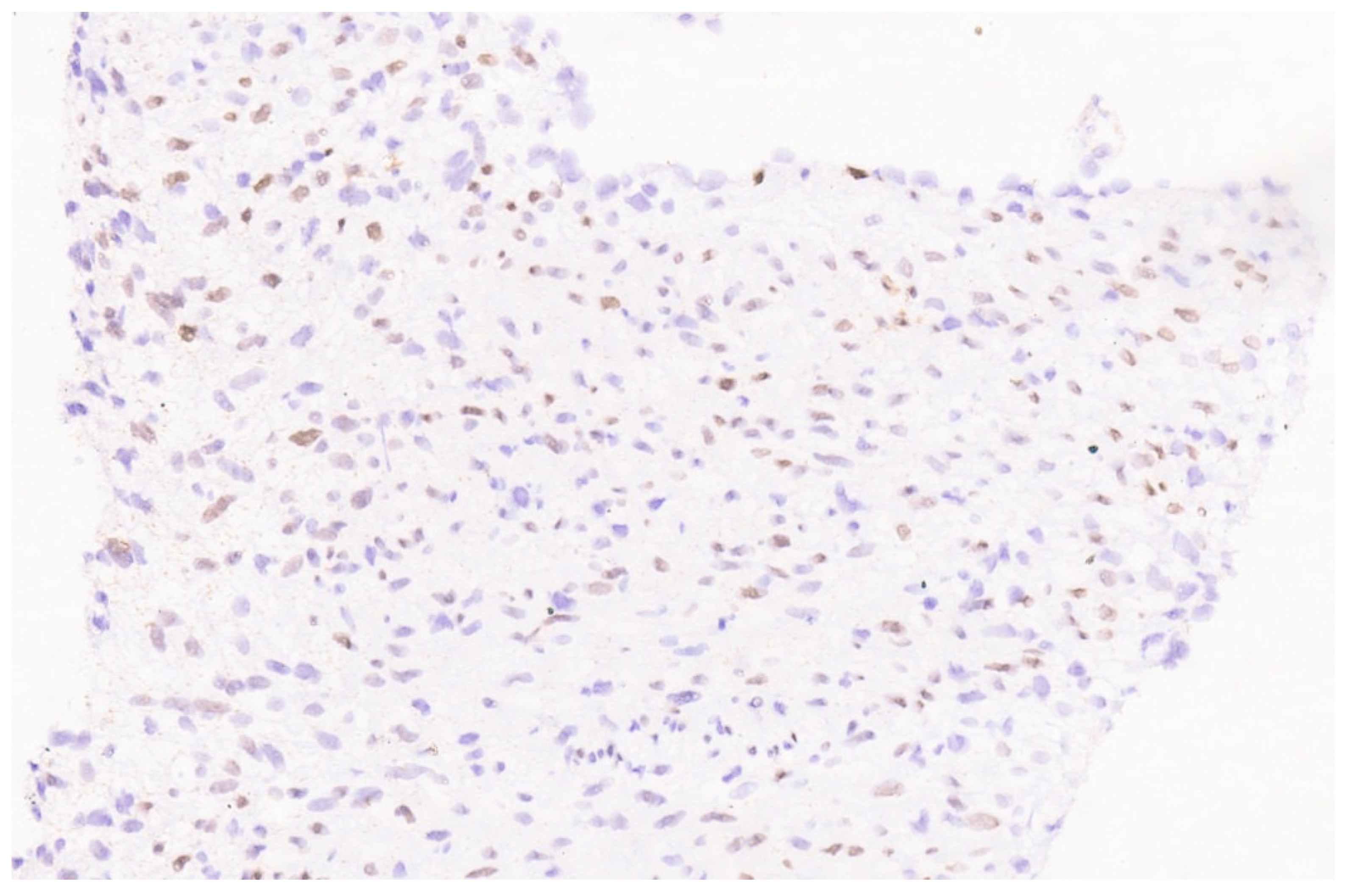 Diagnostics 13 03524 g021