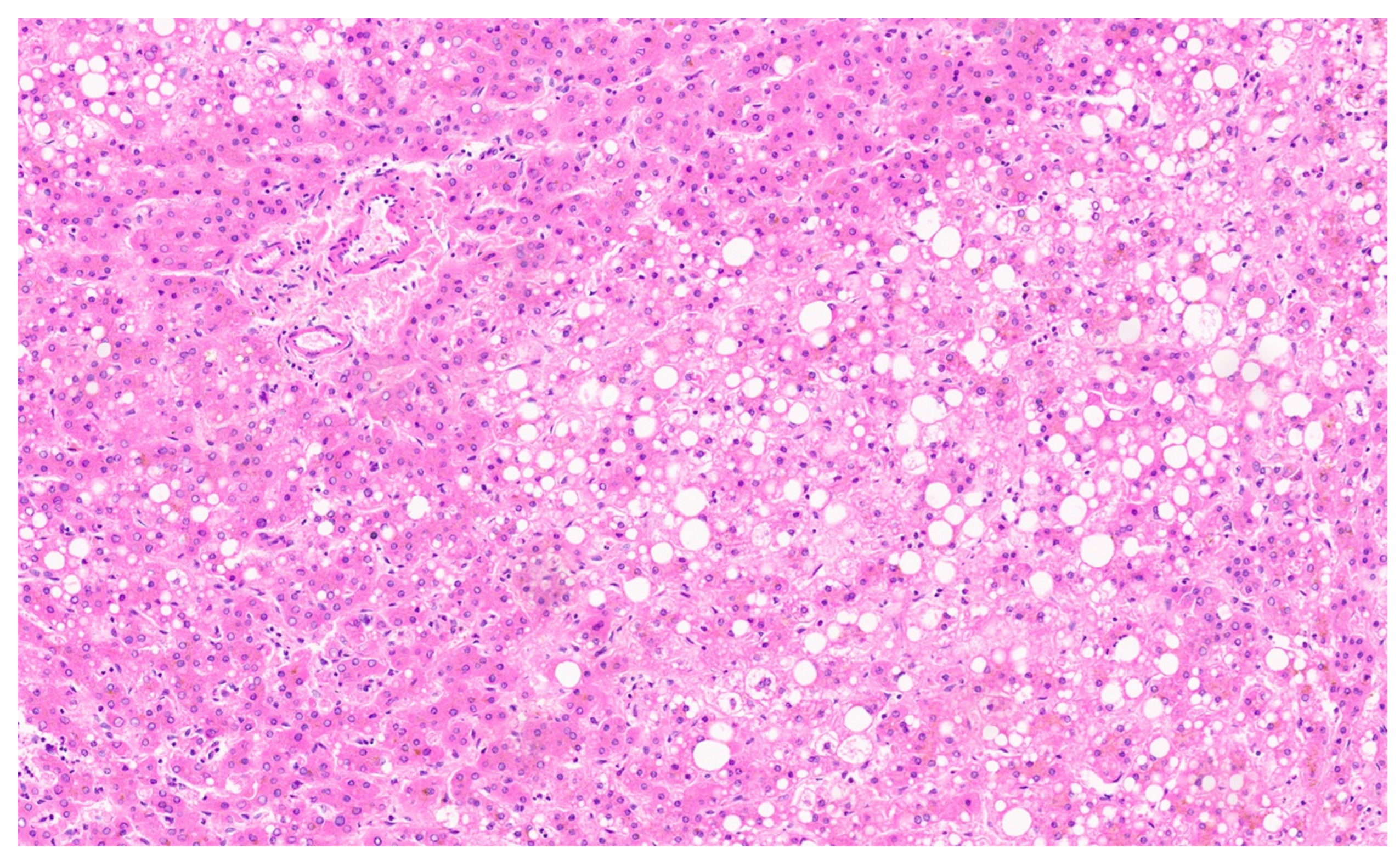 Diagnostics 13 03524 g022