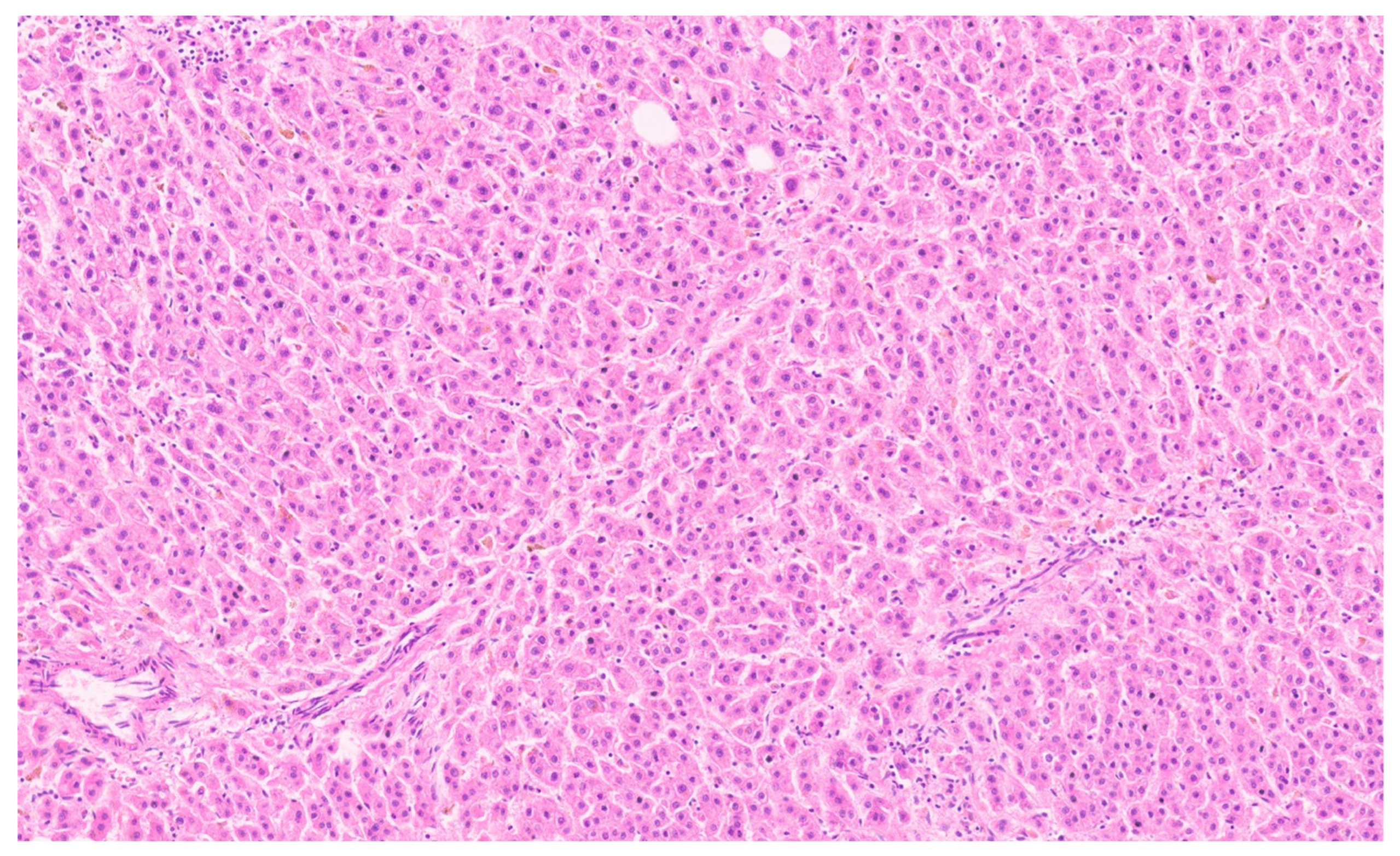 Diagnostics 13 03524 g023