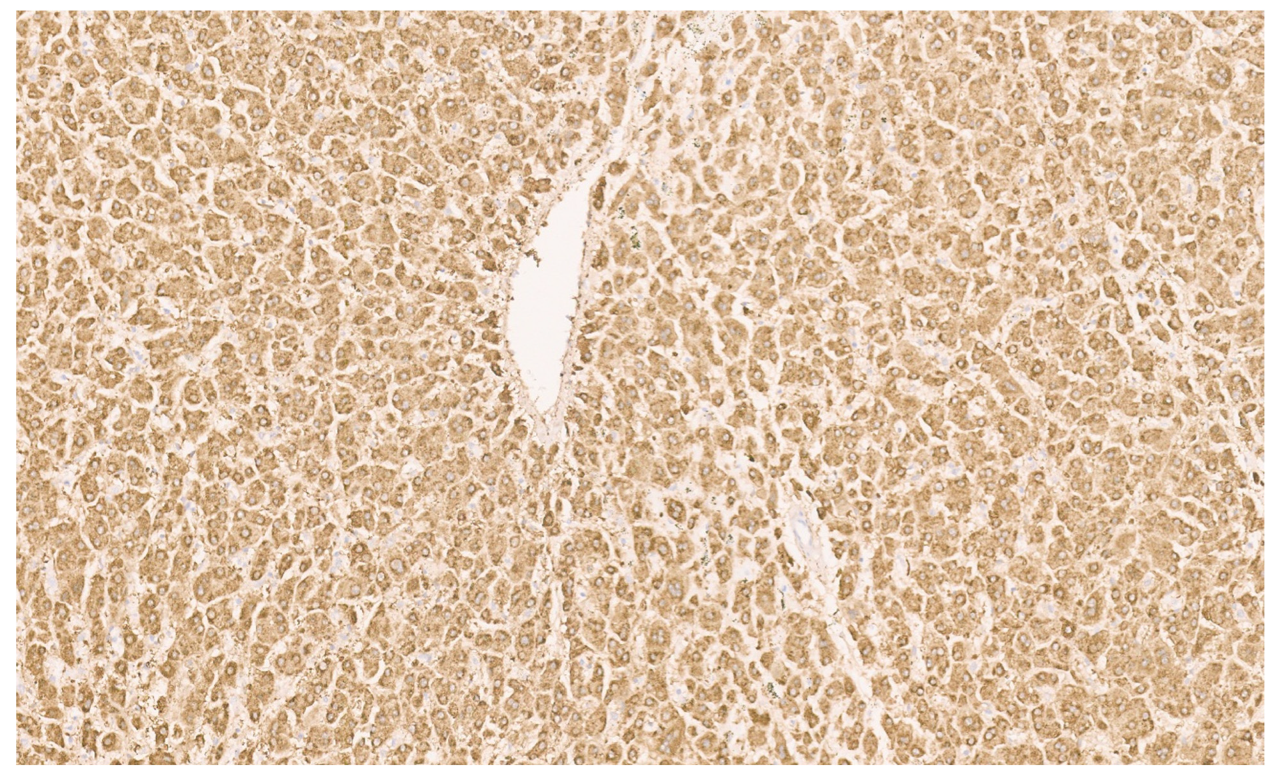 Diagnostics 13 03524 g025