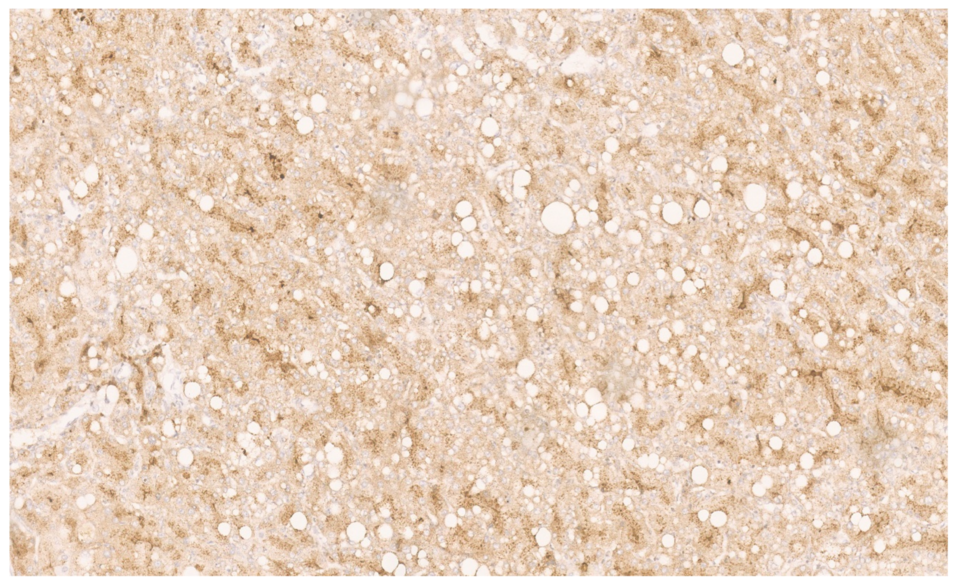 Diagnostics 13 03524 g028