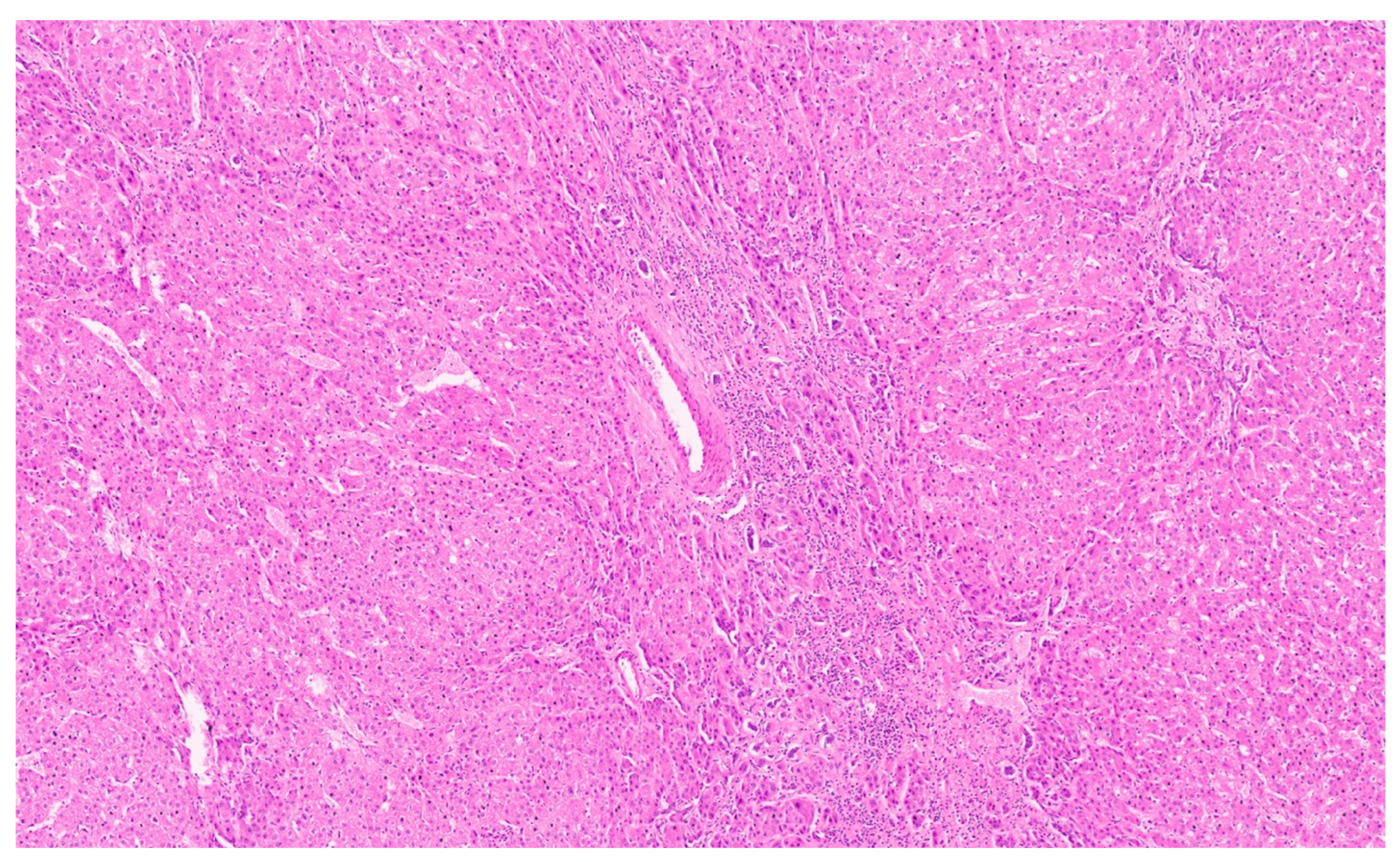 Diagnostics 13 03524 g029