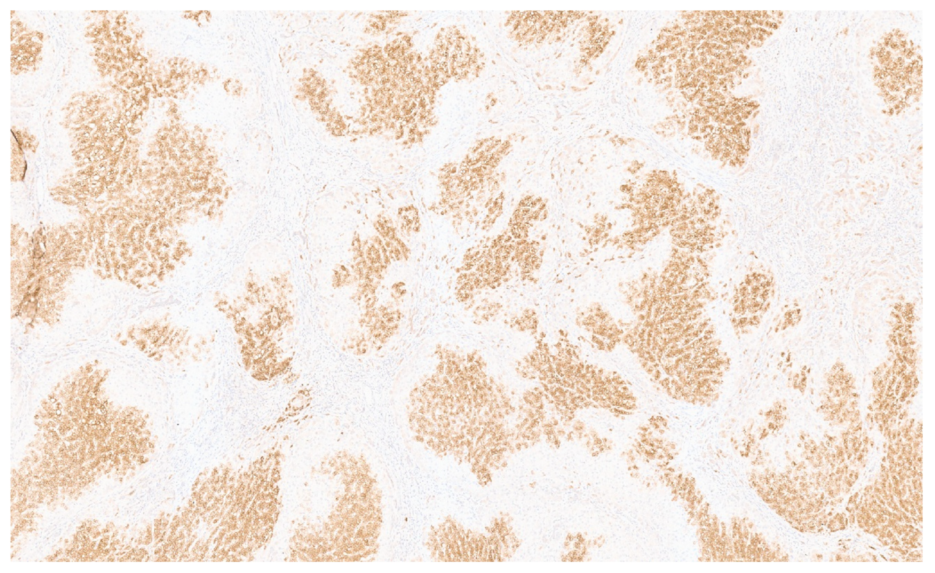 Diagnostics 13 03524 g030