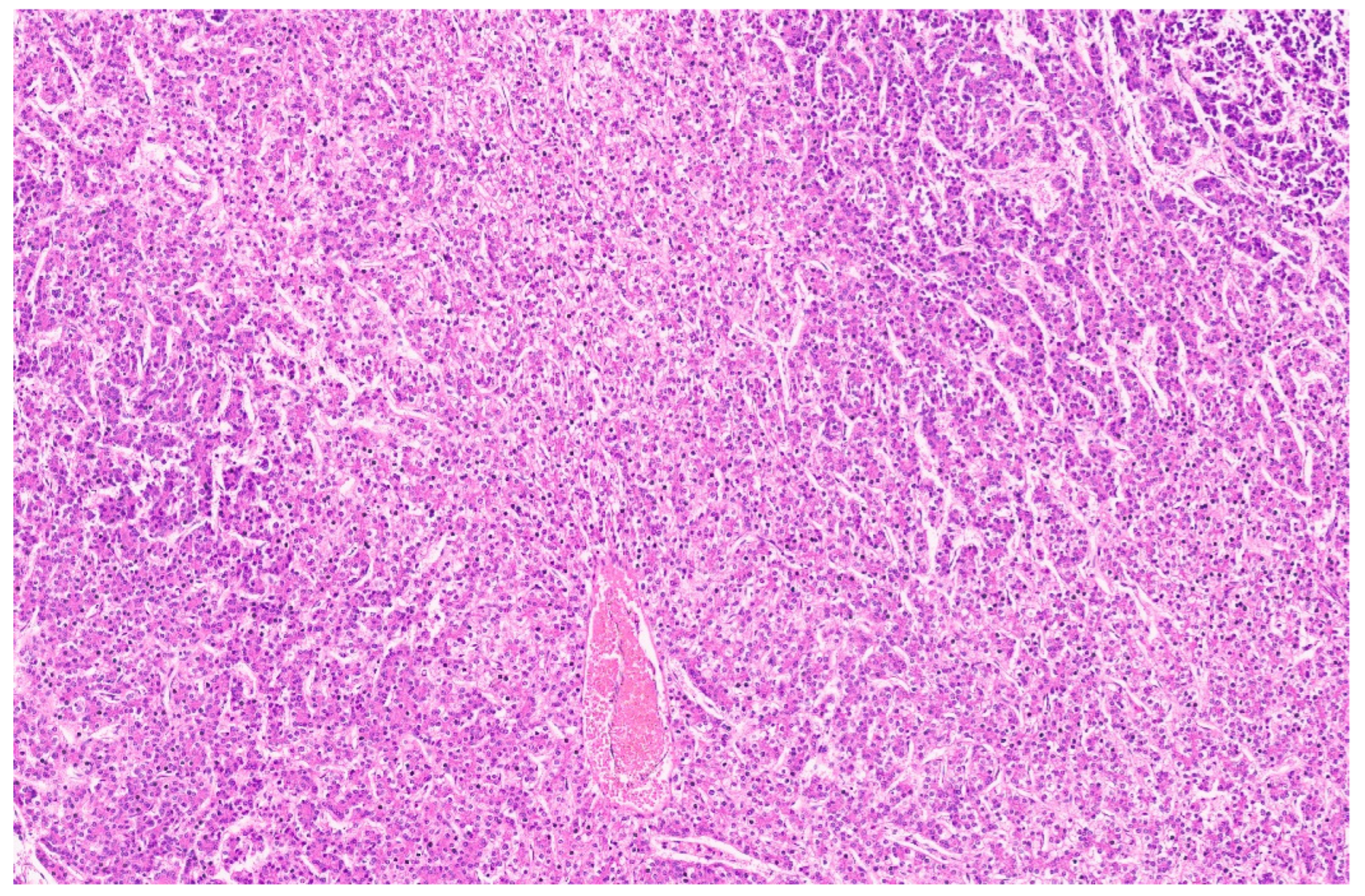 Diagnostics 13 03524 g033