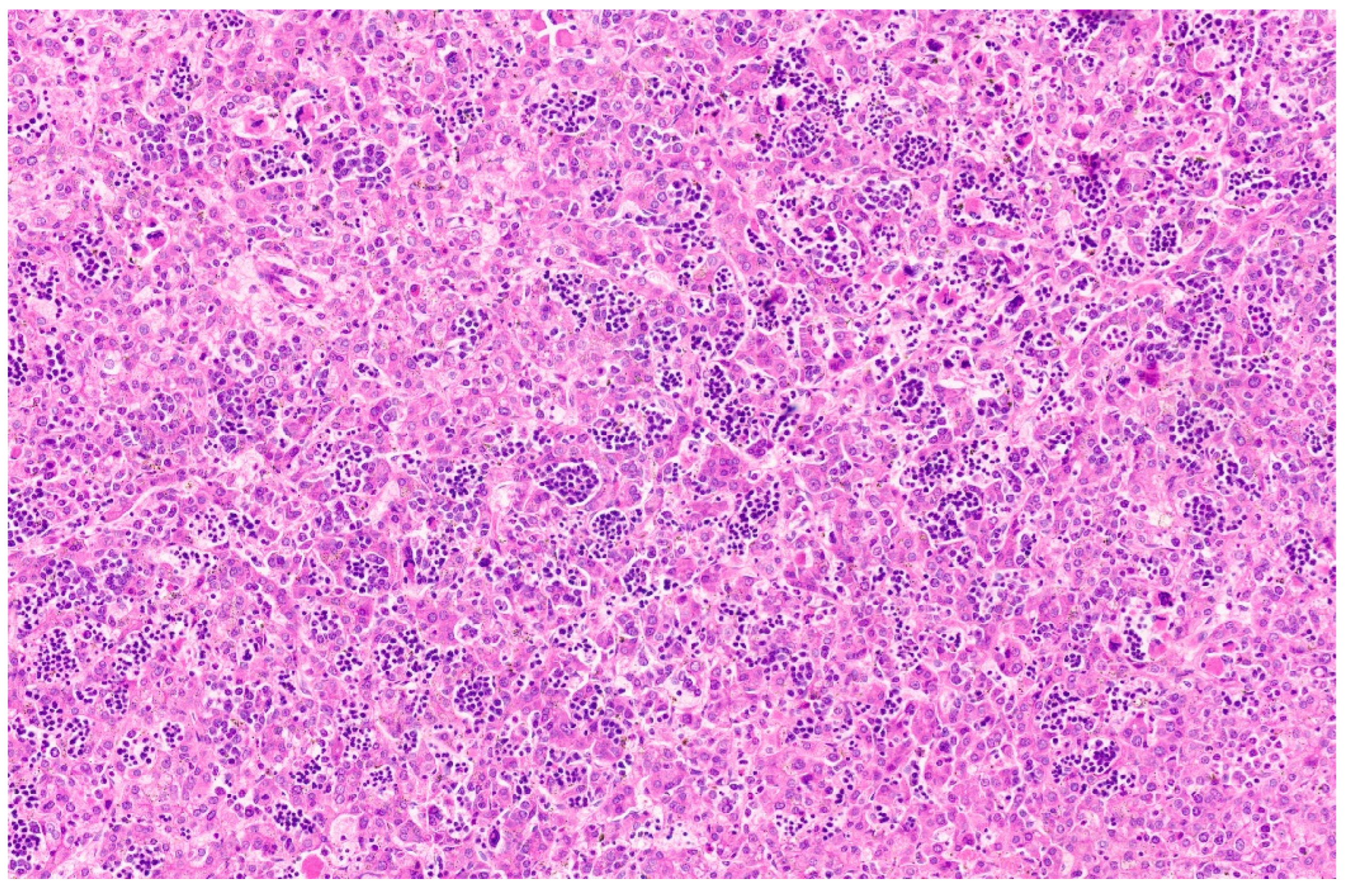 Diagnostics 13 03524 g034