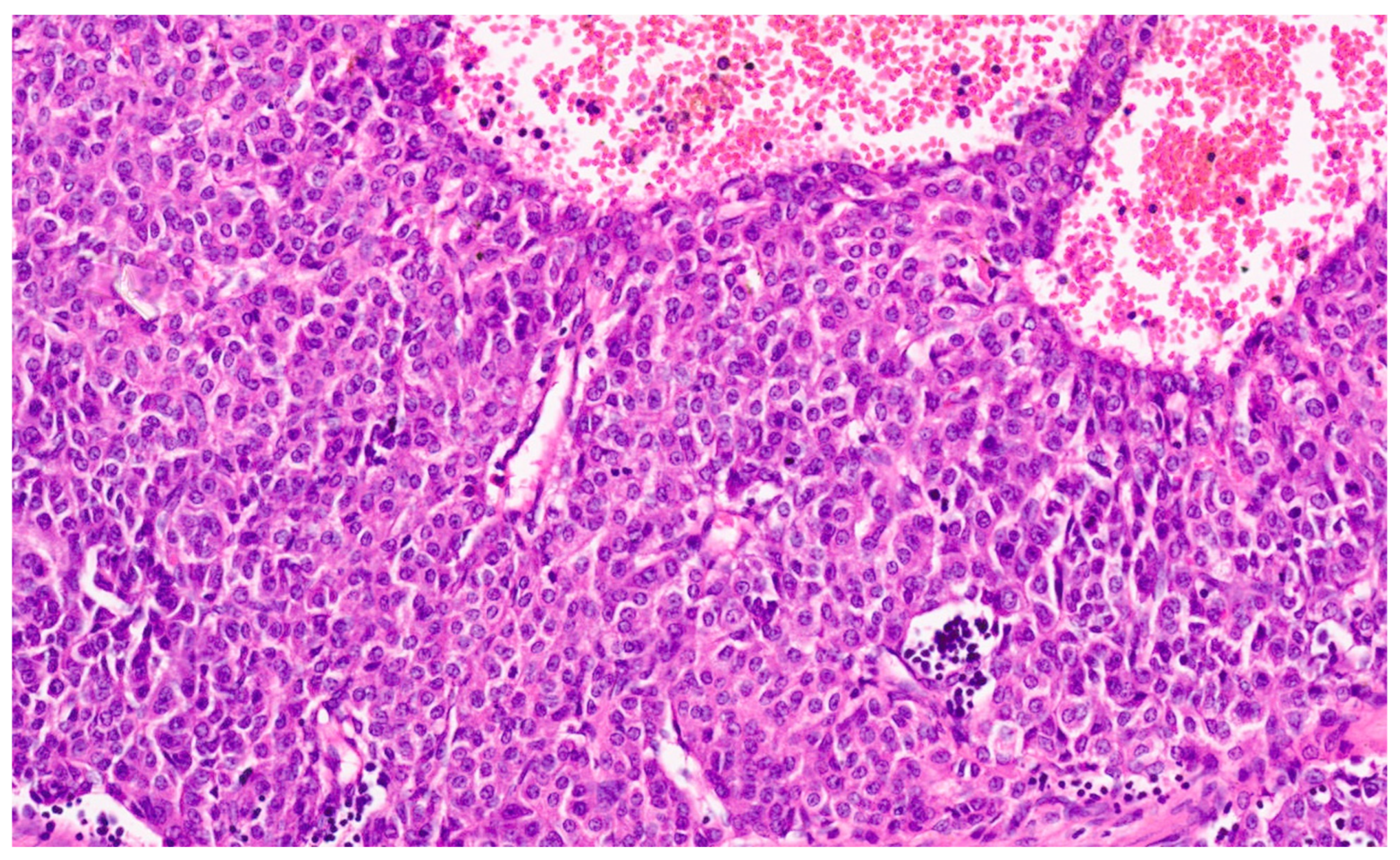 Diagnostics 13 03524 g035