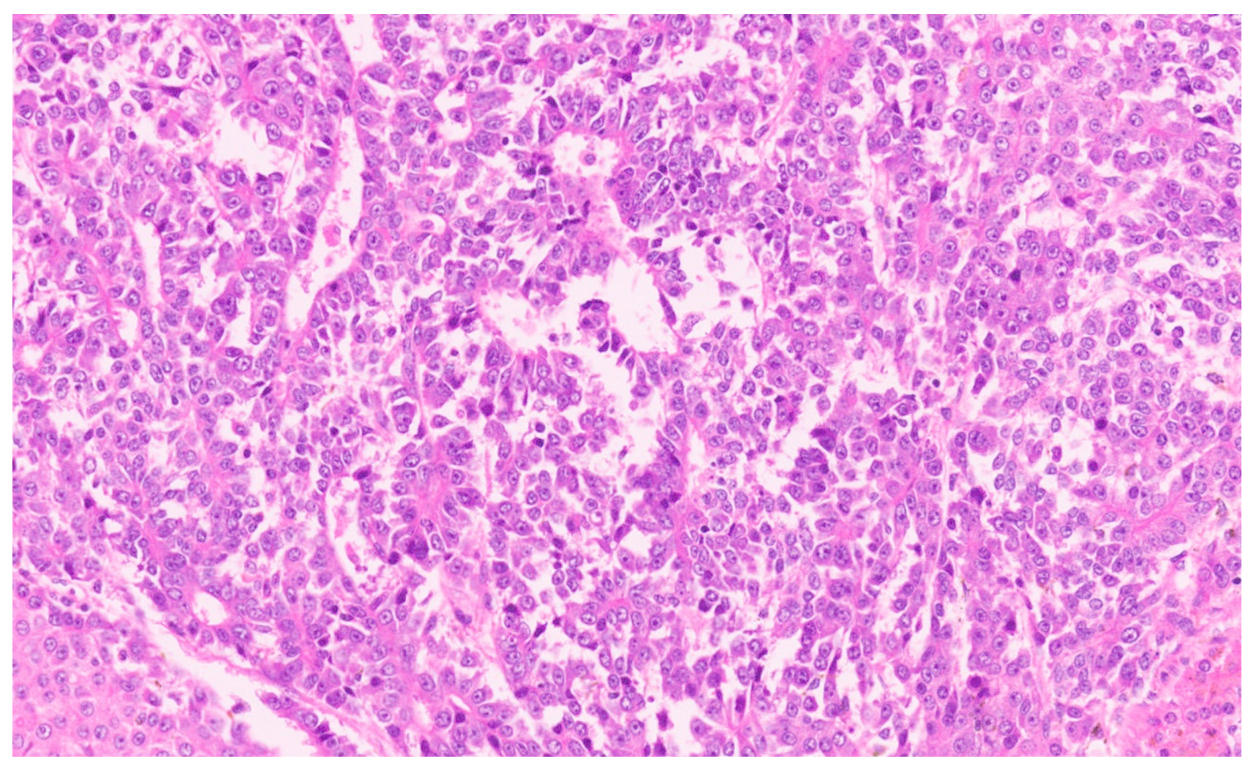 Diagnostics 13 03524 g036