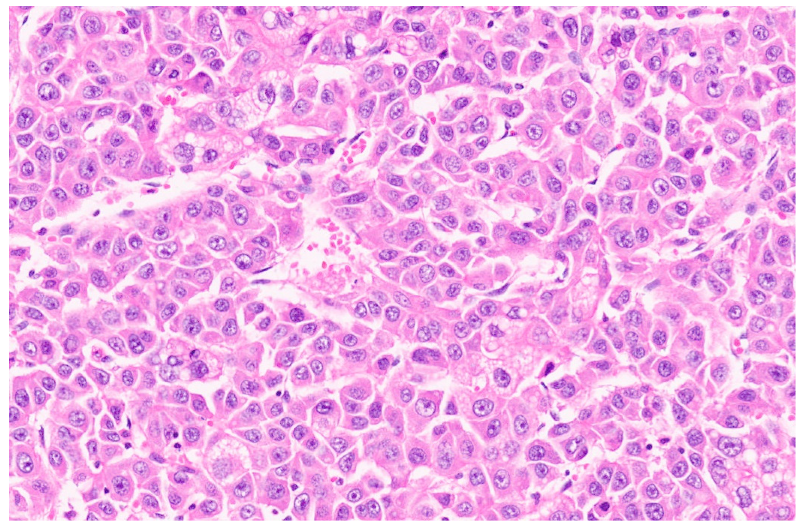 Diagnostics 13 03524 g037