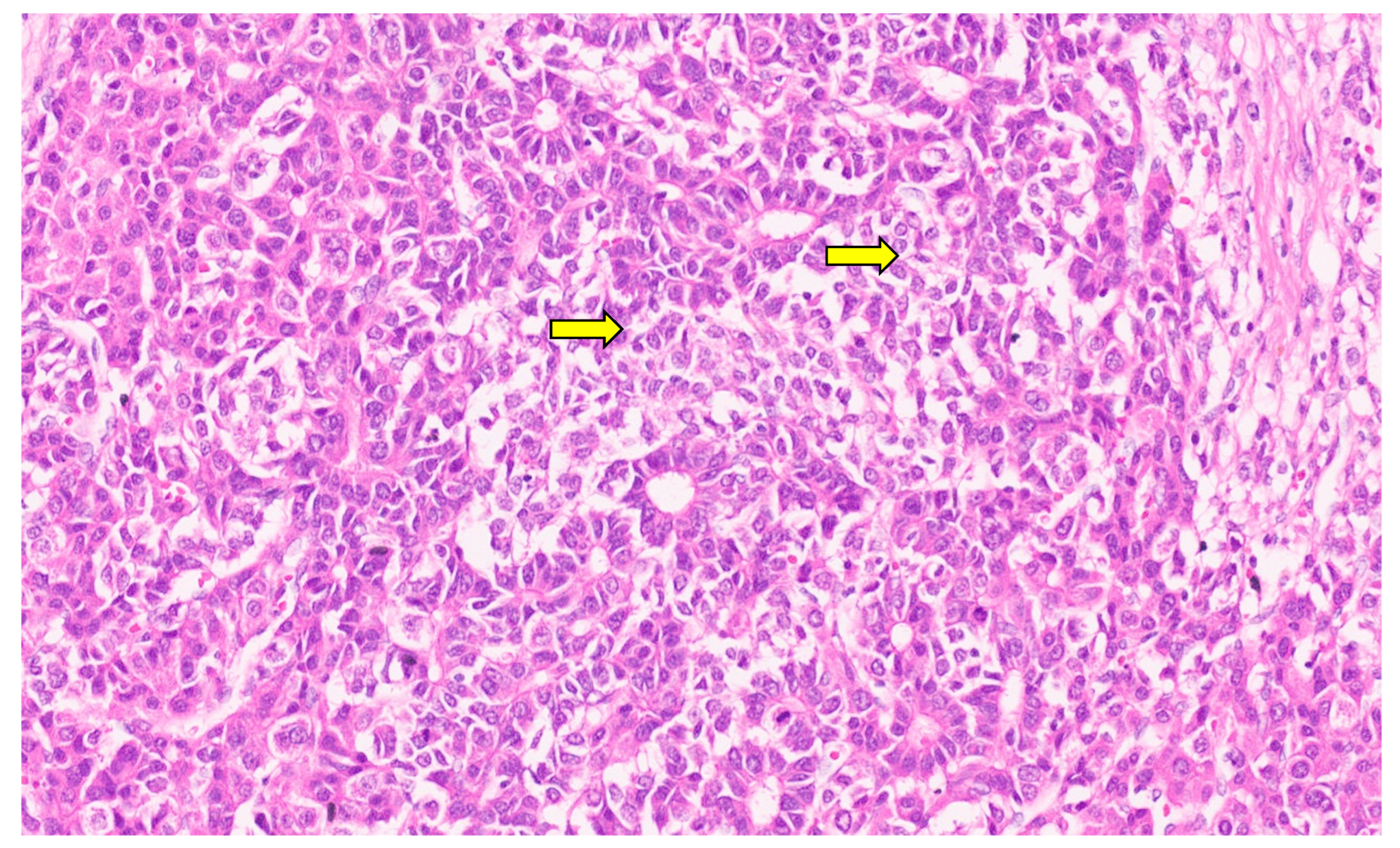 Diagnostics 13 03524 g038