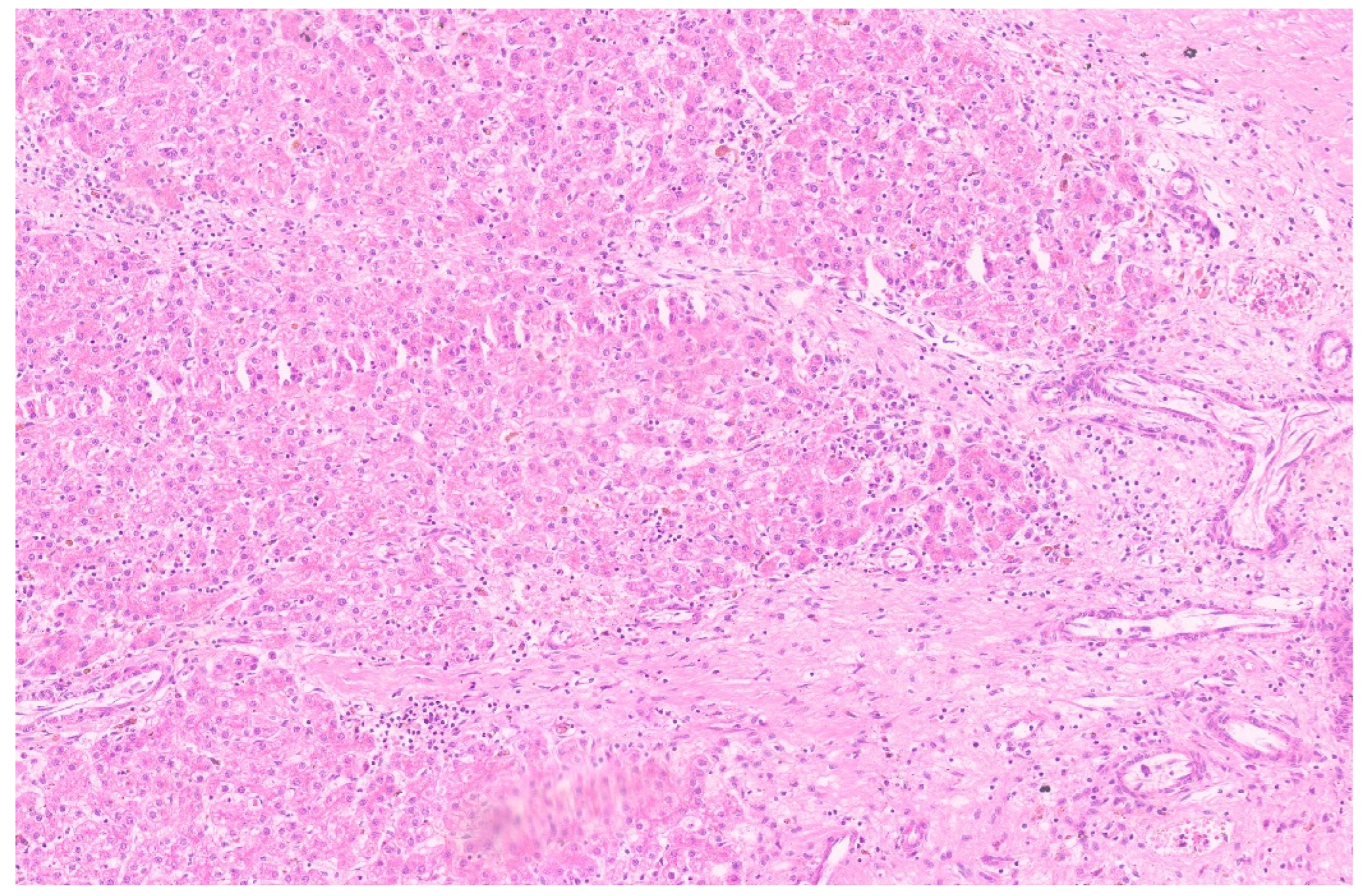 Diagnostics 13 03524 g040