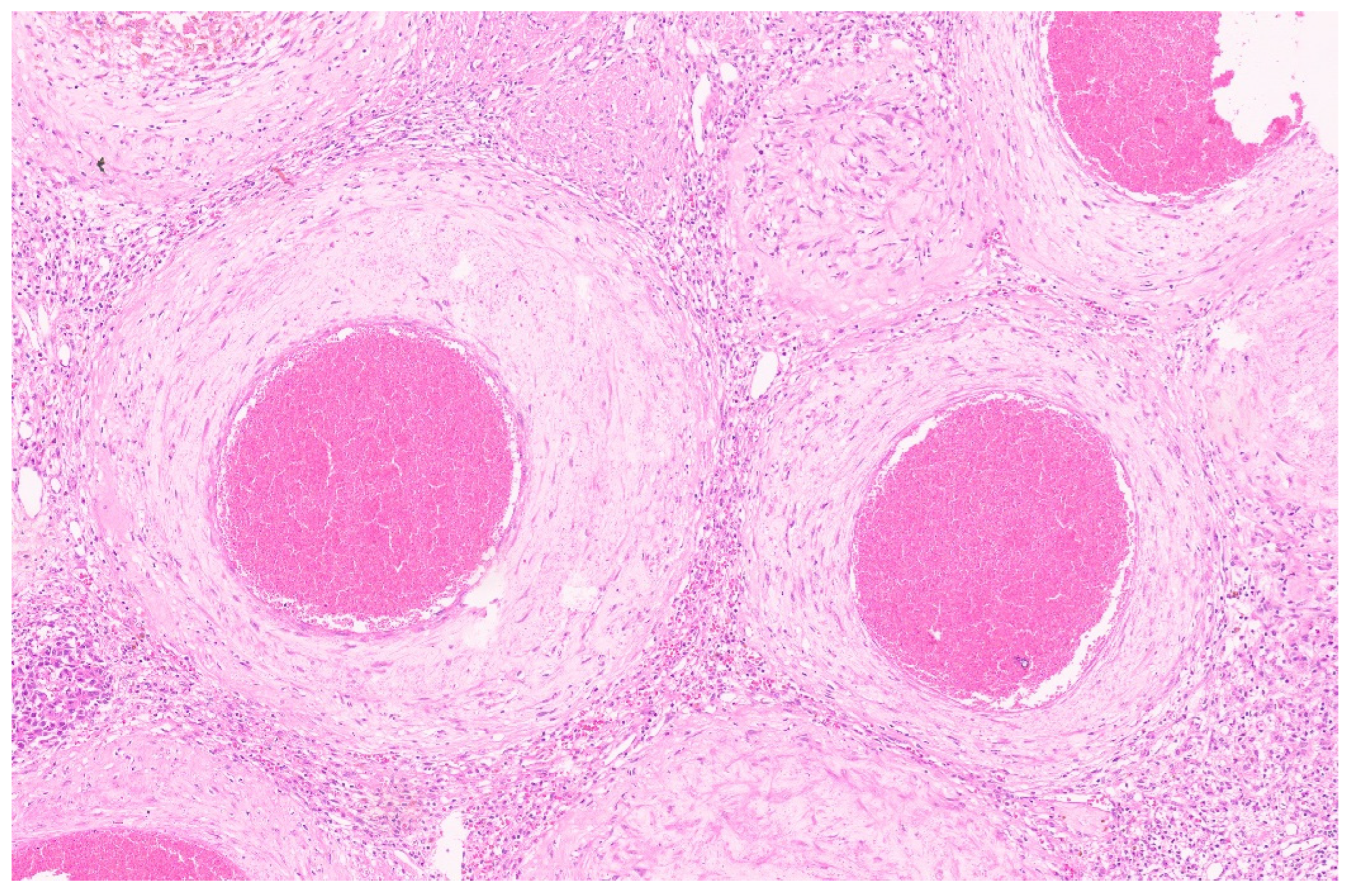 Diagnostics 13 03524 g041