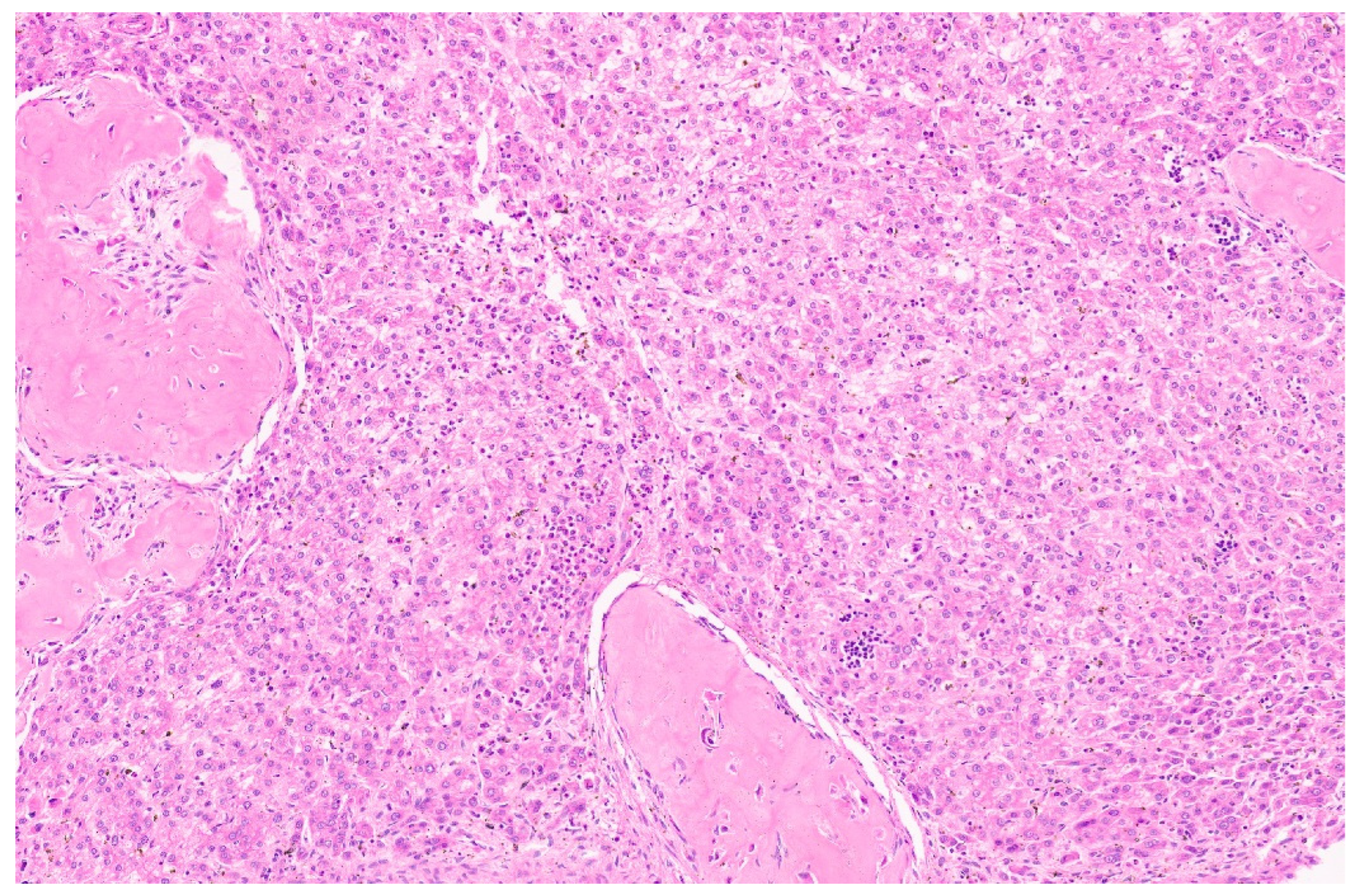 Diagnostics 13 03524 g042