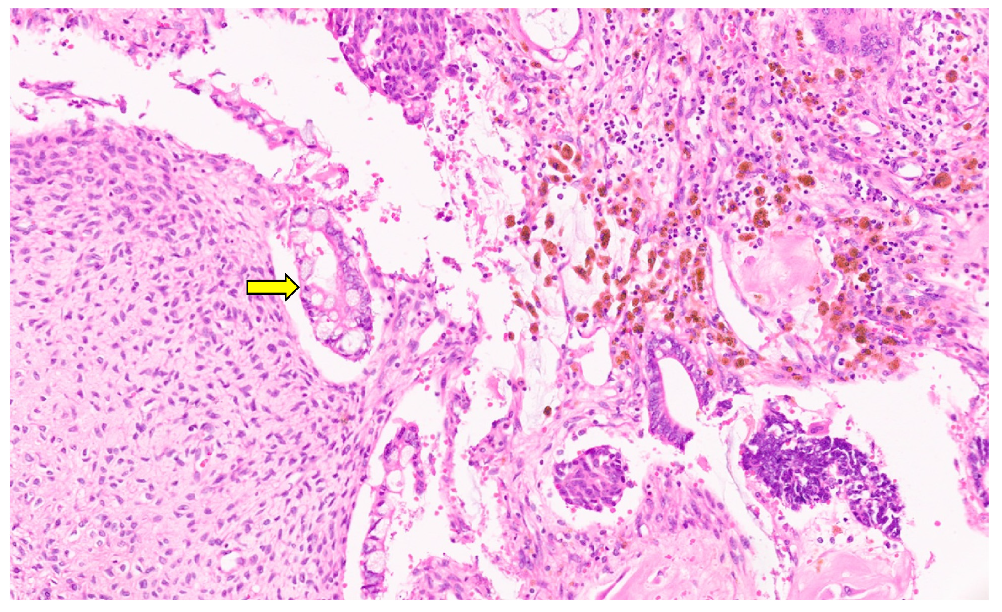 Diagnostics 13 03524 g043