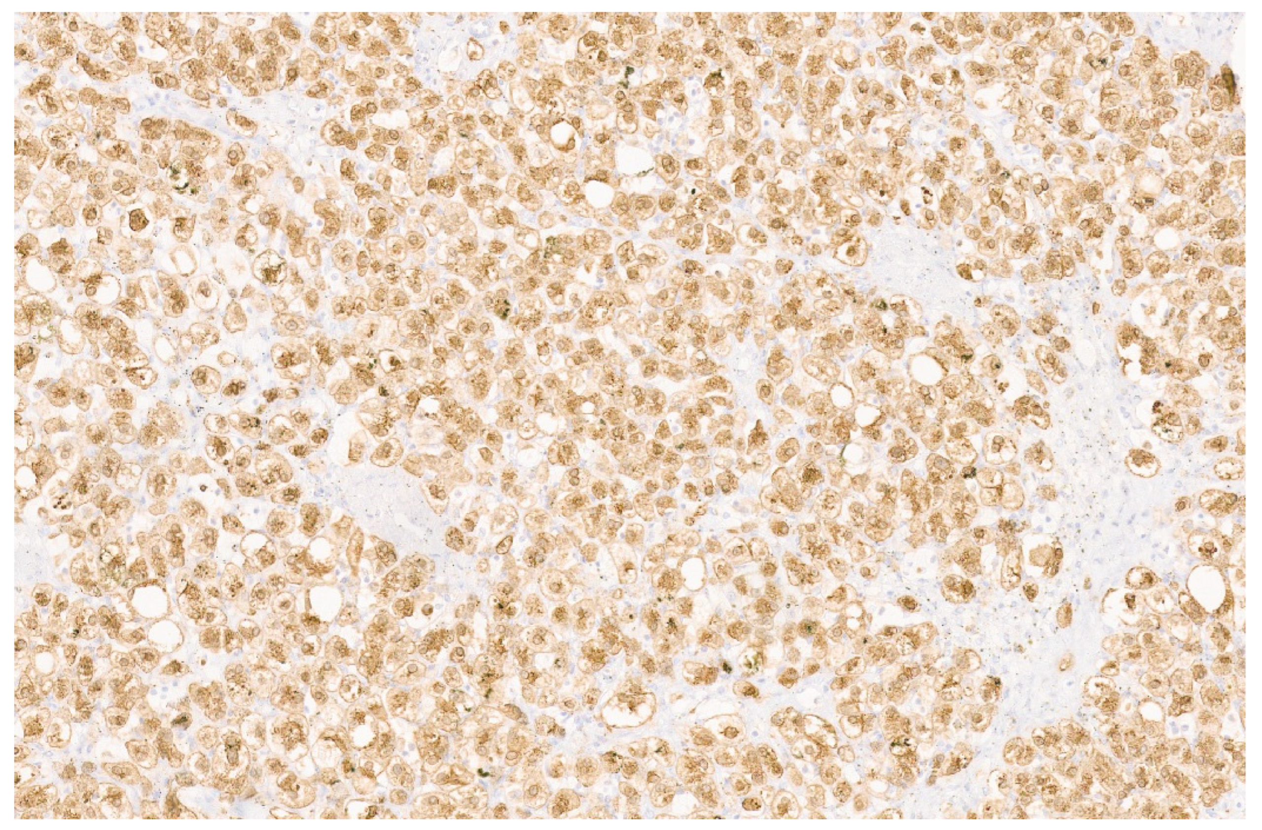 Diagnostics 13 03524 g045