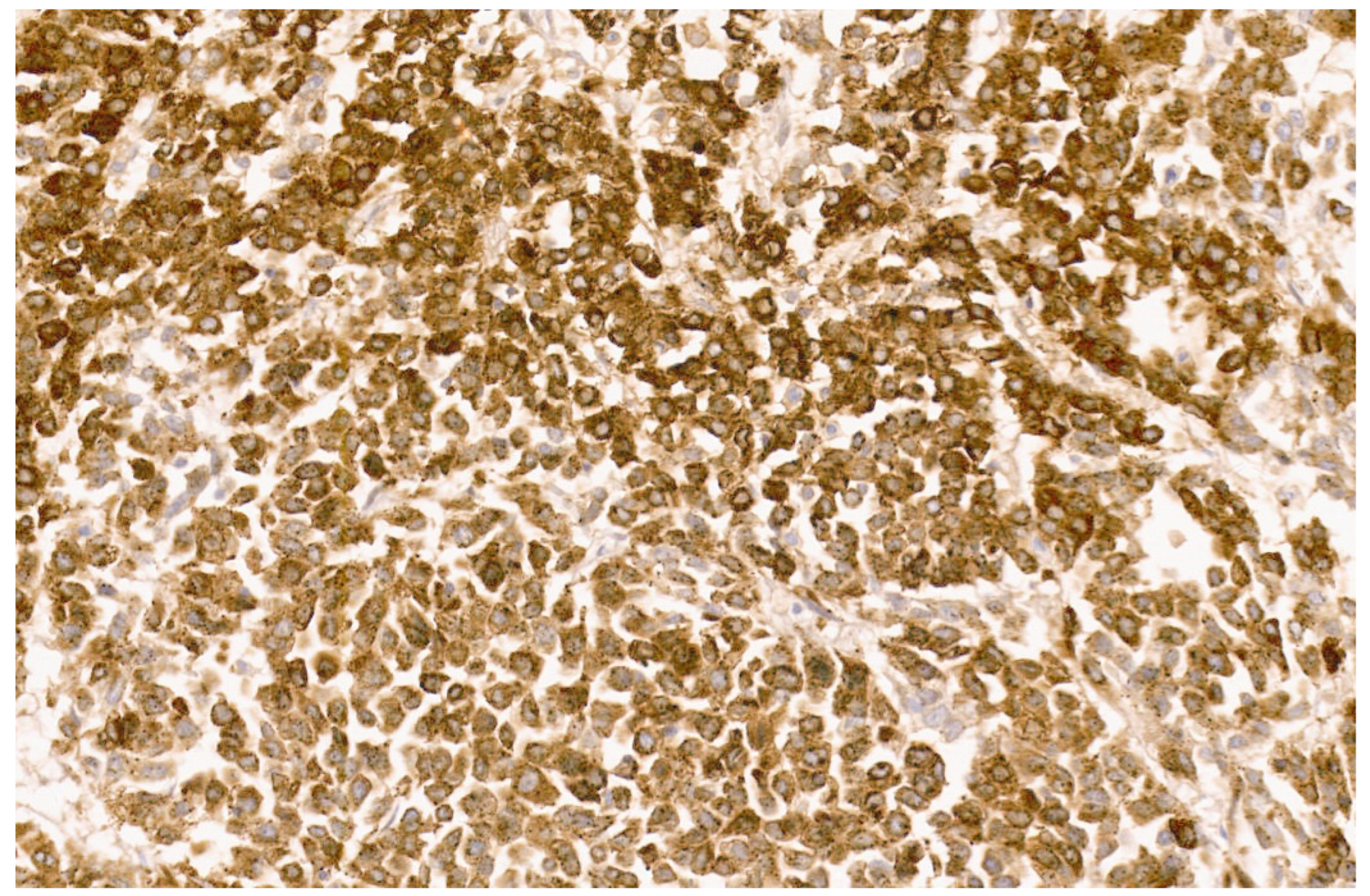 Diagnostics 13 03524 g047