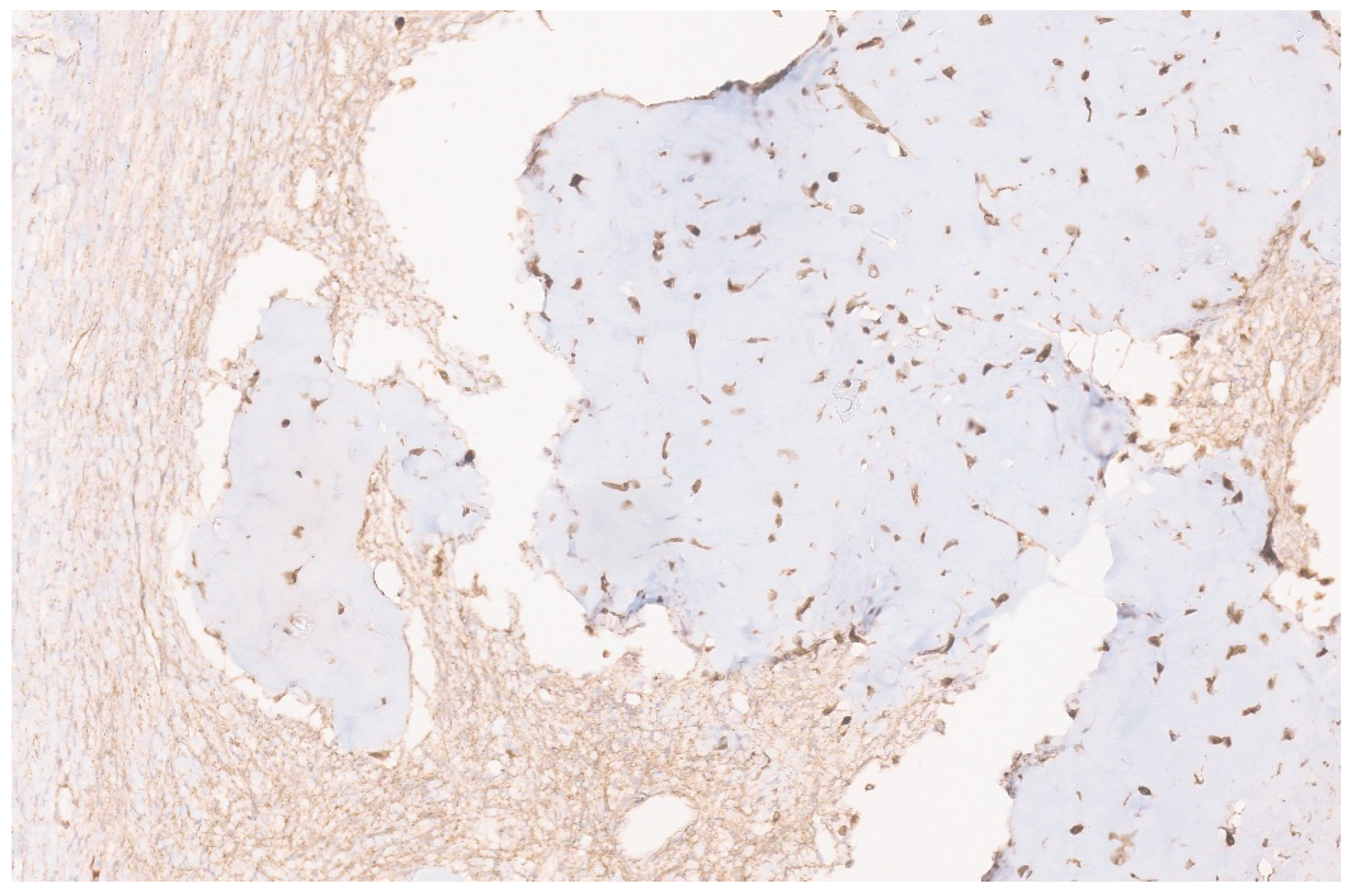 Diagnostics 13 03524 g052