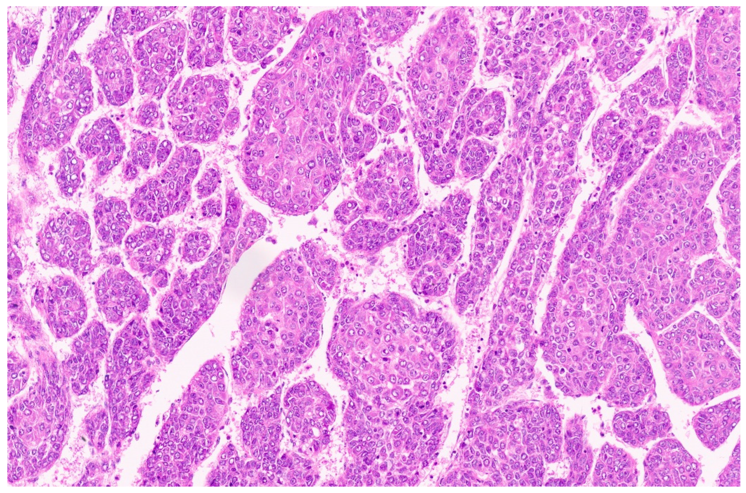 Diagnostics 13 03524 g054