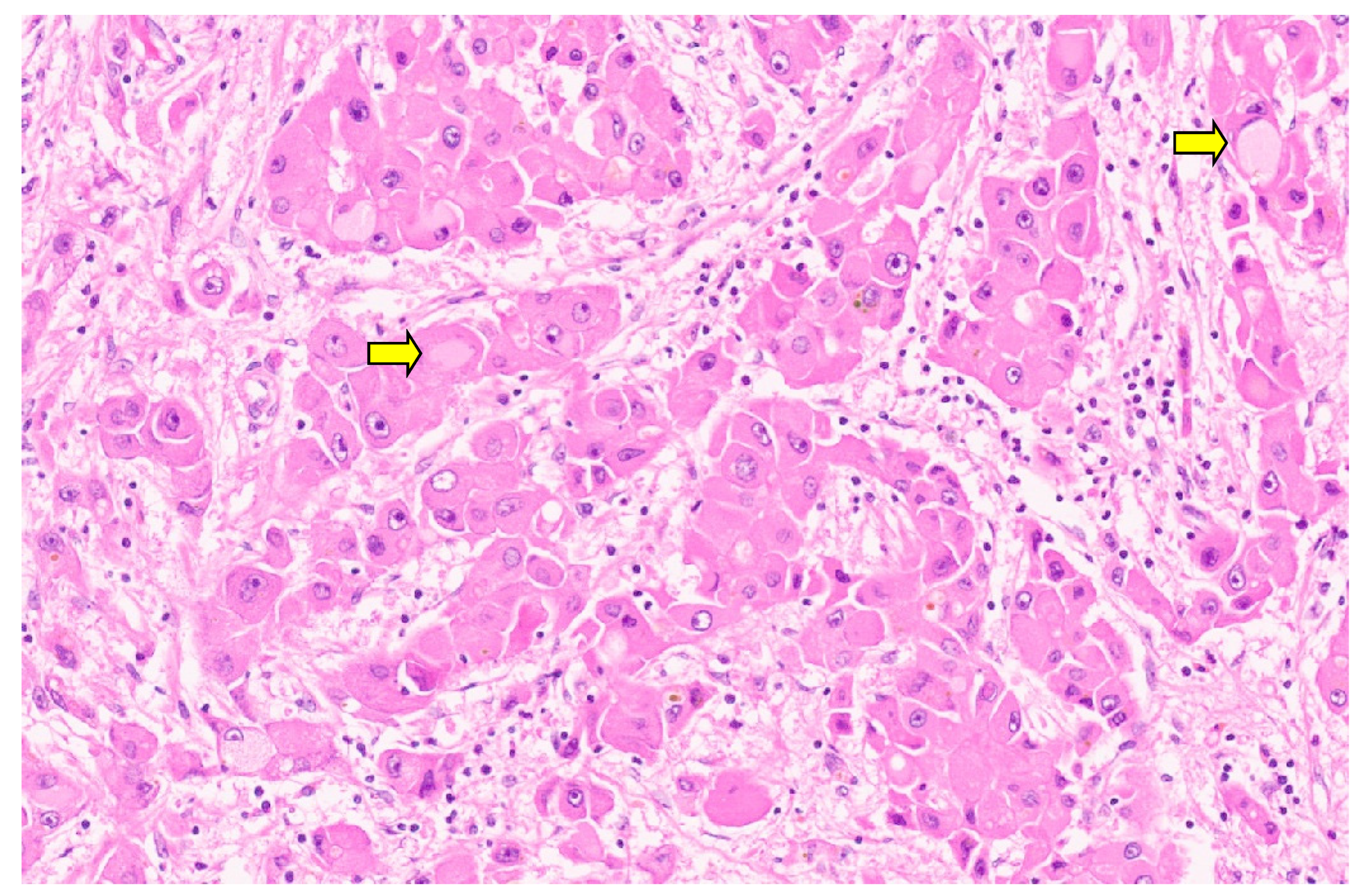 Diagnostics 13 03524 g056