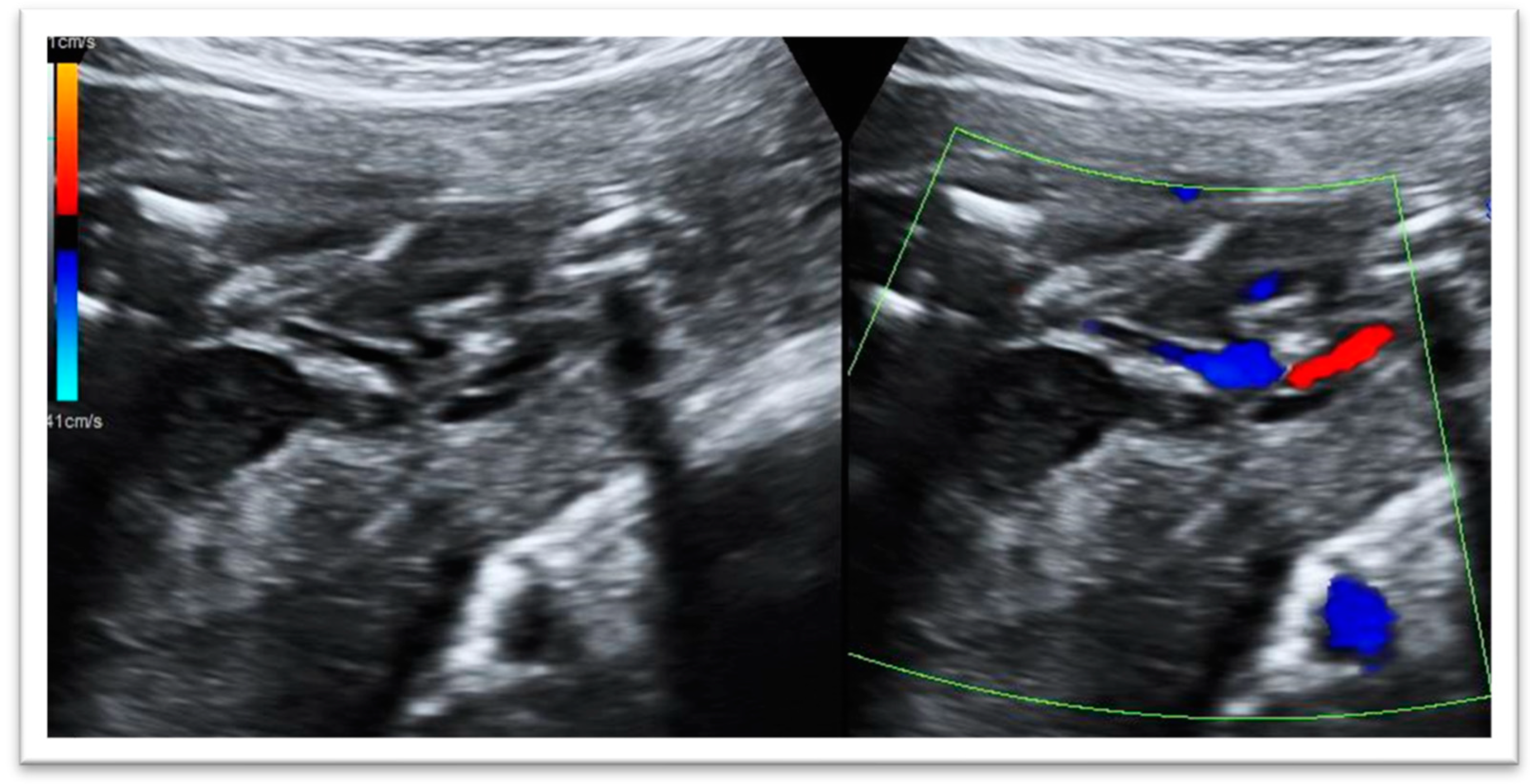 Diagnostics 13 03529 g001