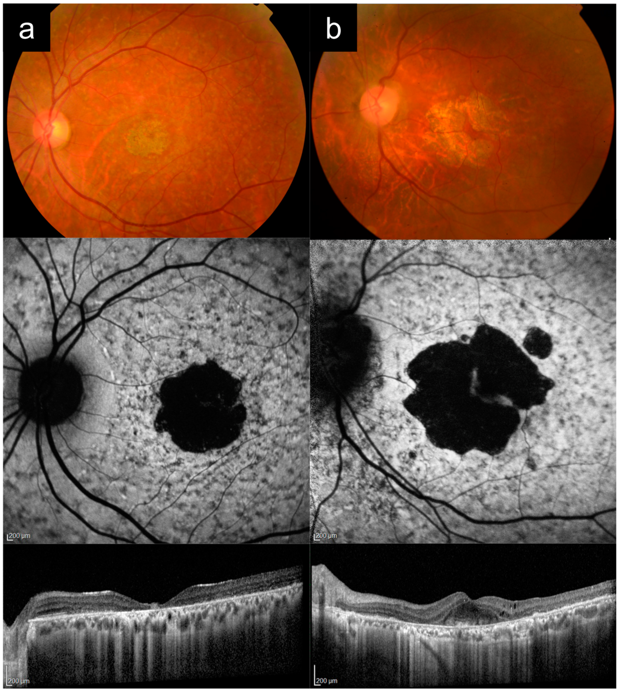 Diagnostics 13 03530 g001