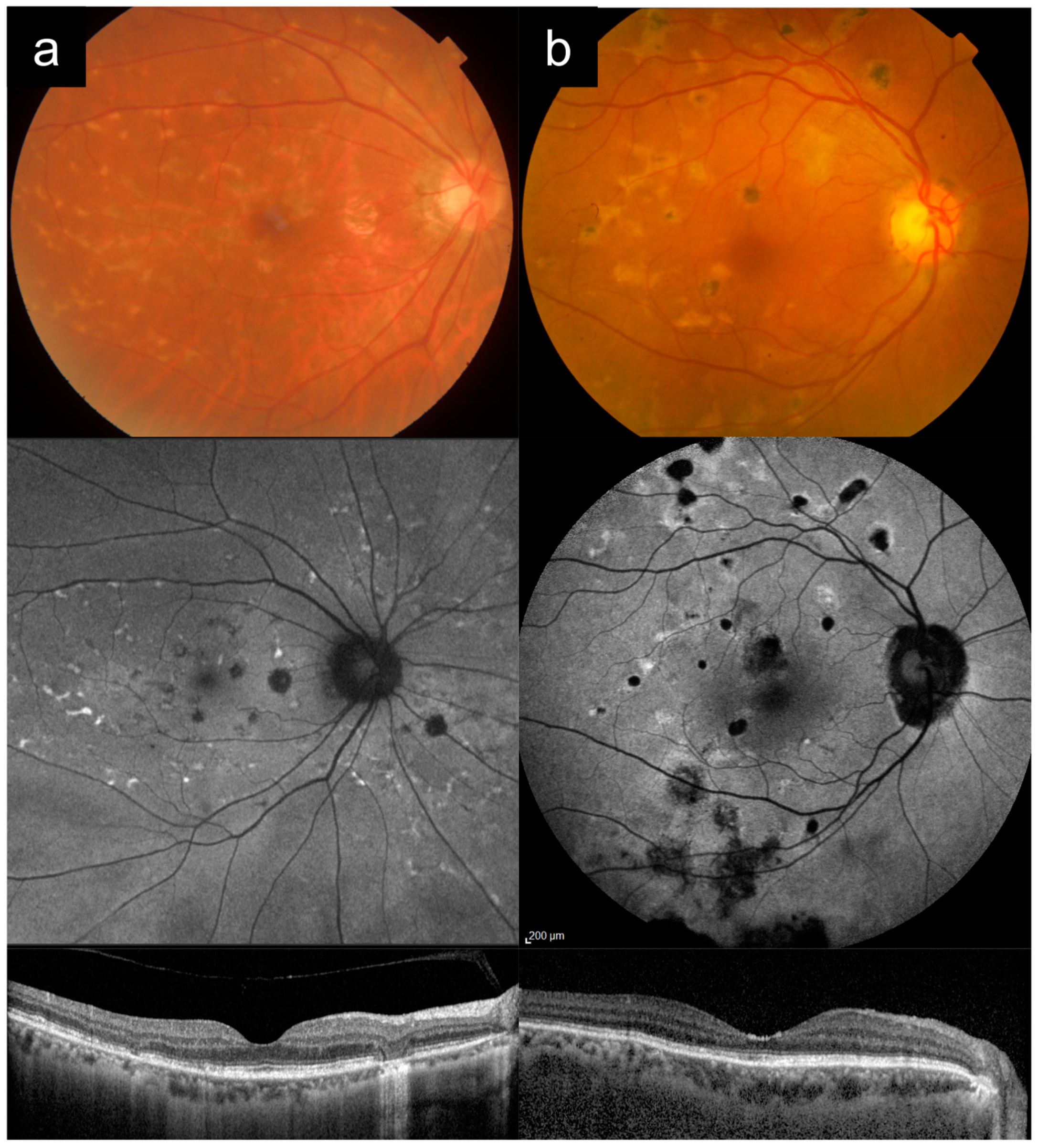 Diagnostics 13 03530 g003
