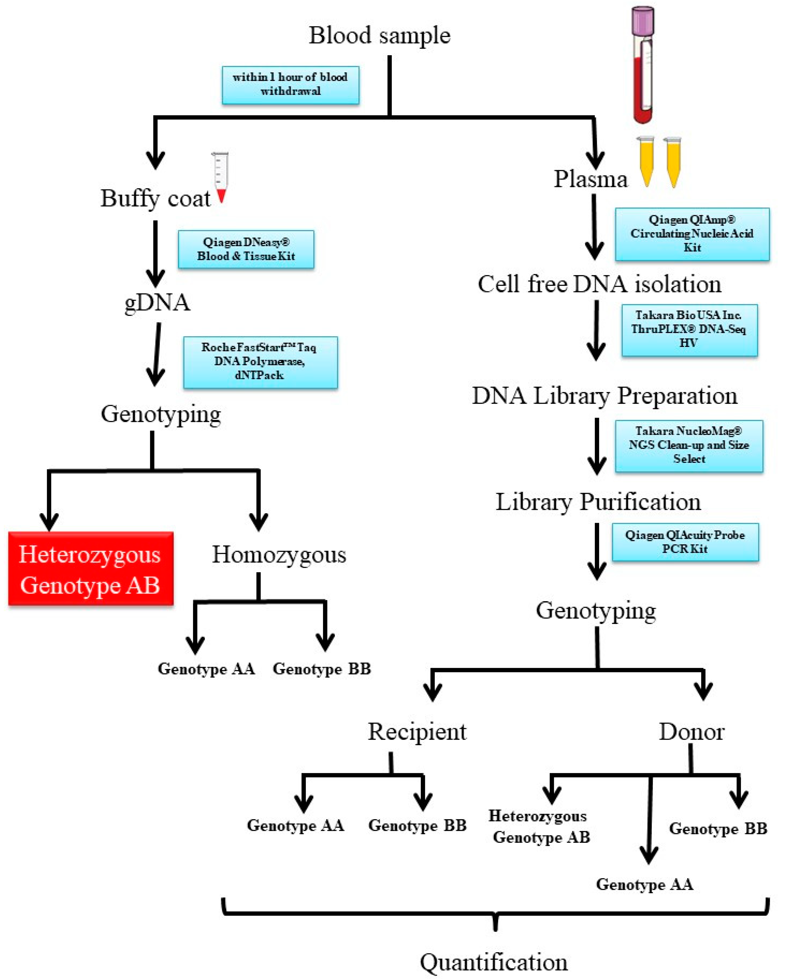 Diagnostics 13 03540 g001
