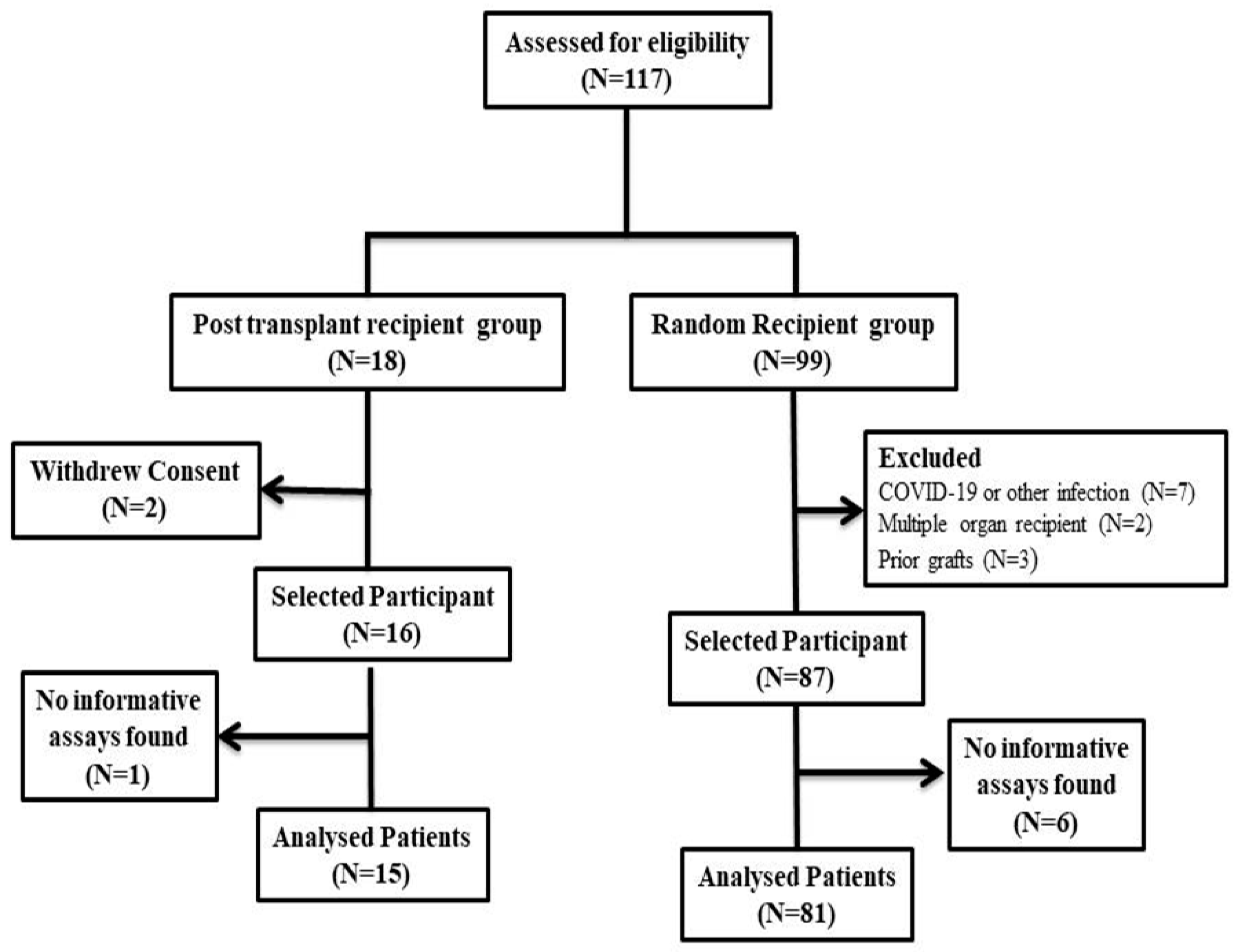 Diagnostics 13 03540 g002