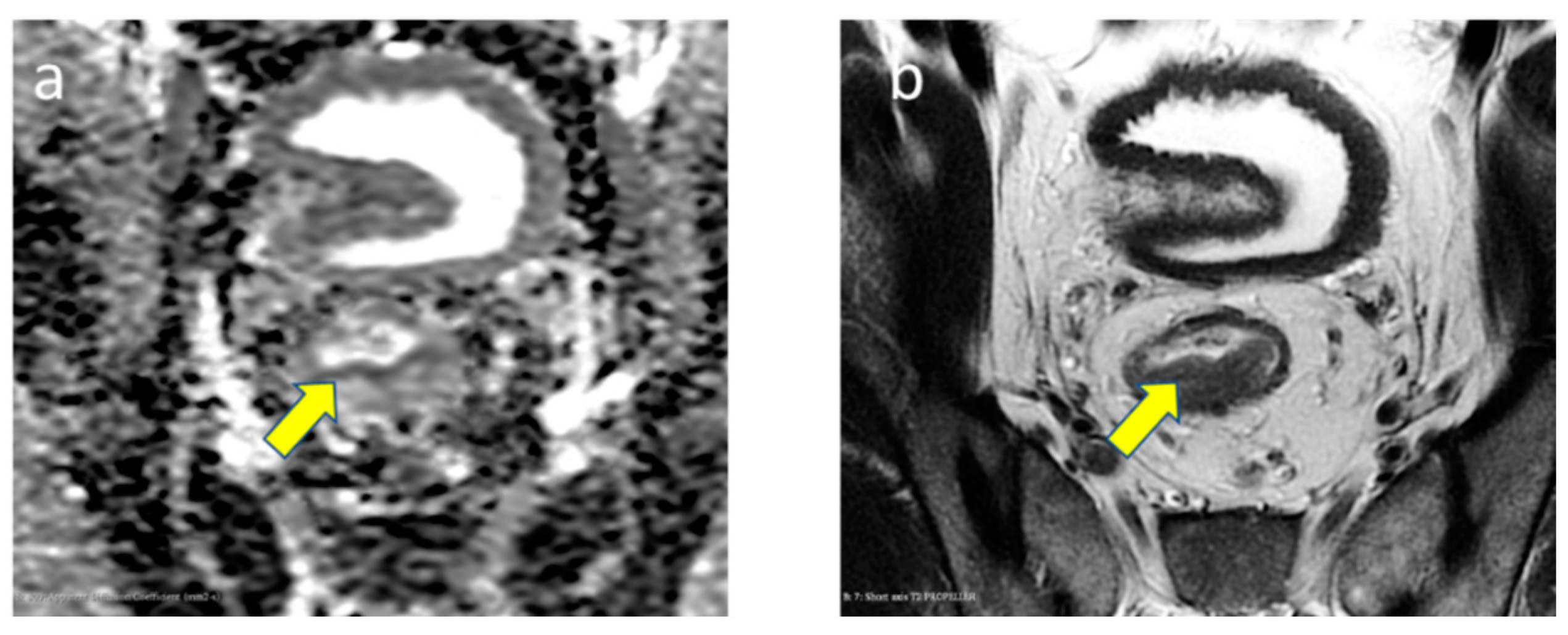 Diagnostics 13 03541 g001